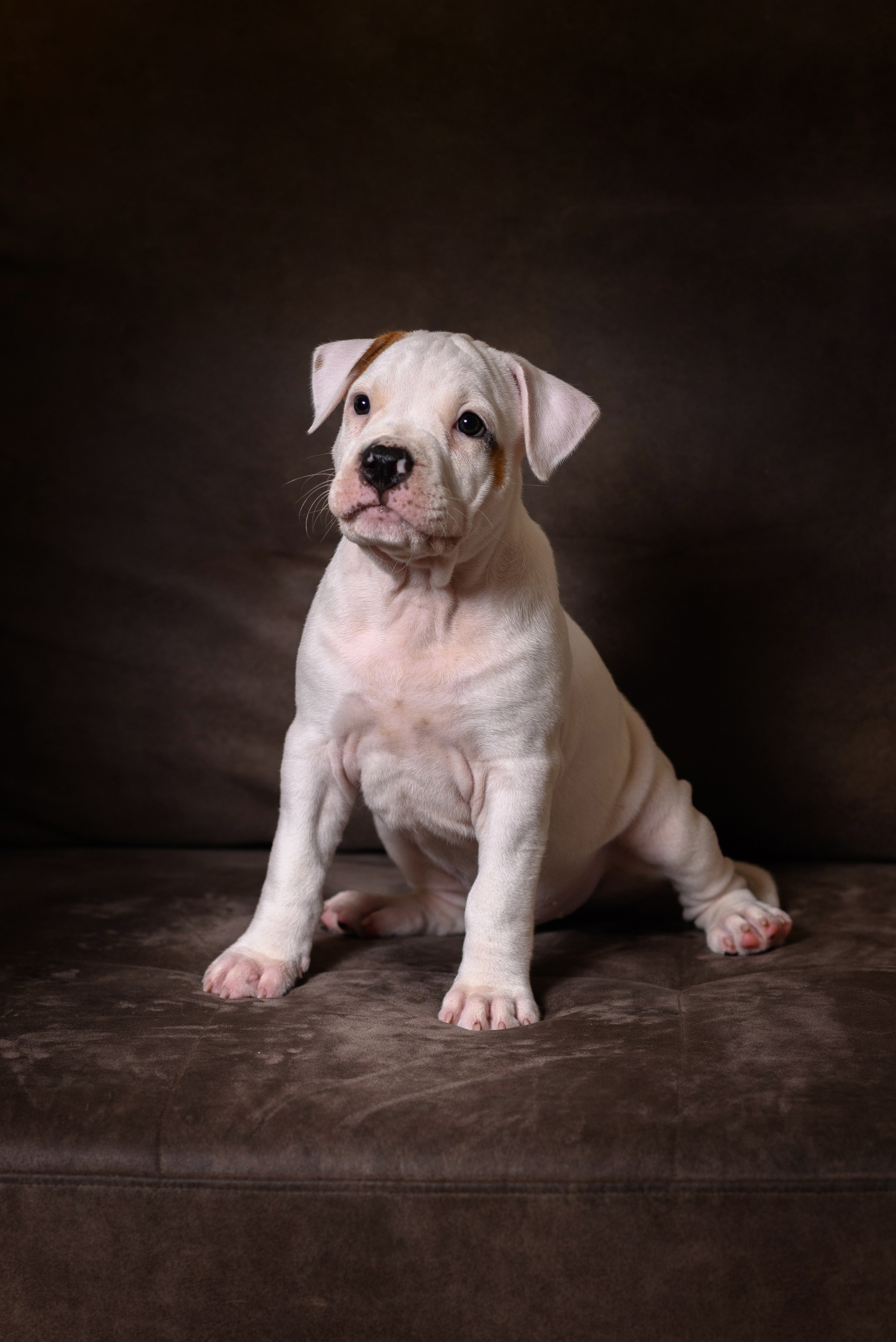 ЖЫВЁЛЫ. Вясельны і партрэтны фатограф Сяргей Клемянок