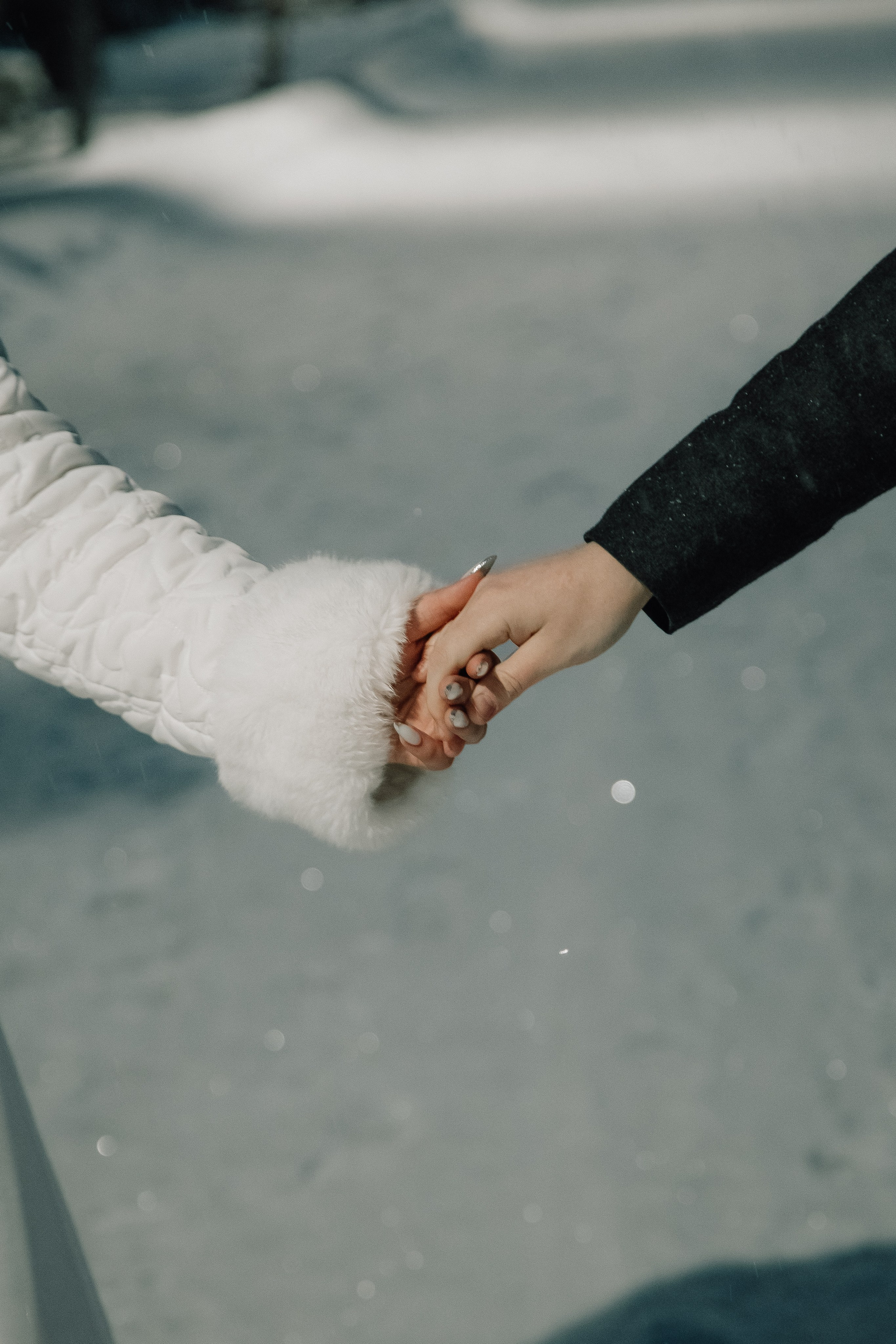 Свадьбы (альбом-портфолио). LINE Lab