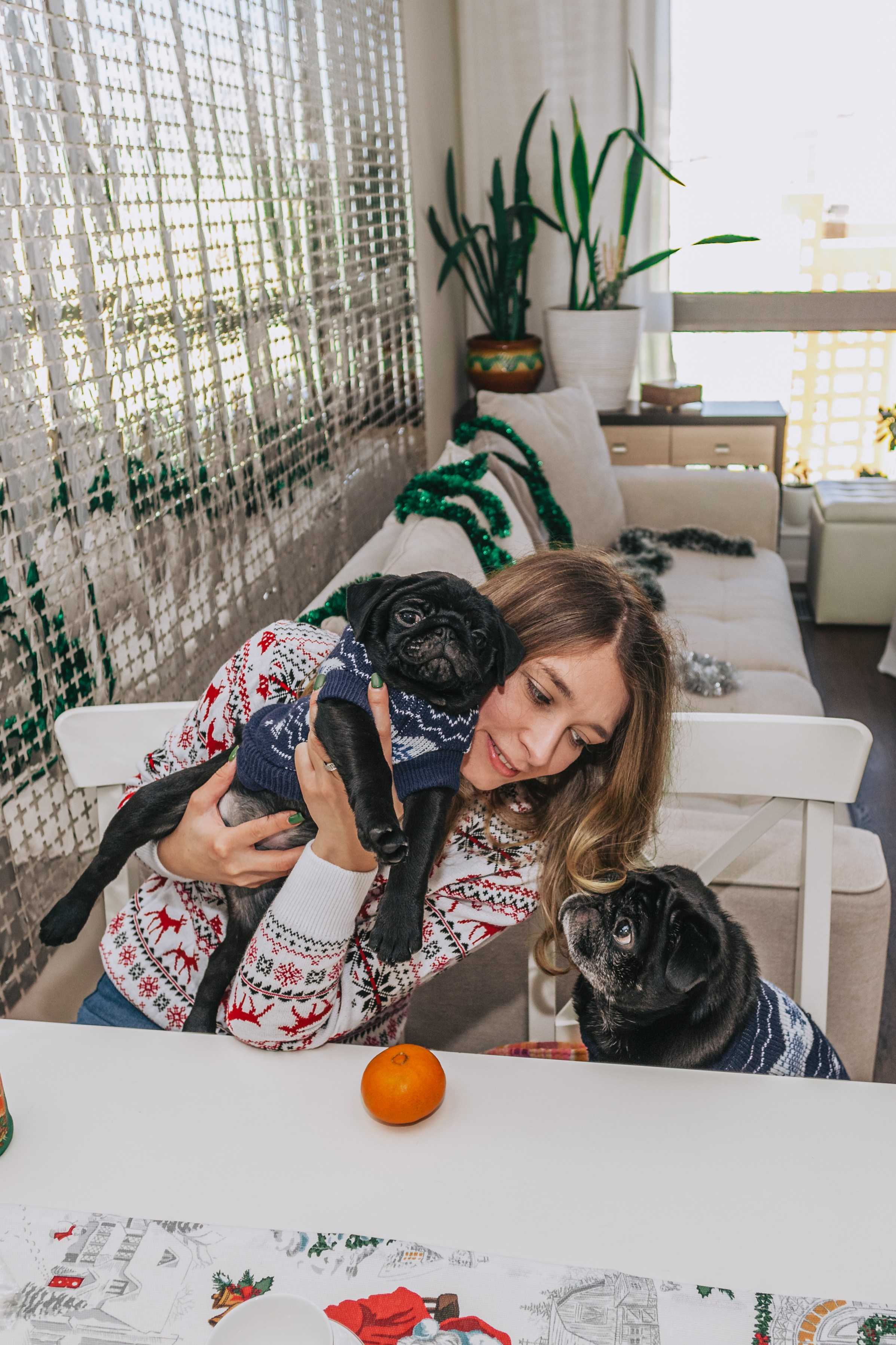 Домашняя фотосессия Оли и двух ее мопсов. Фотограф-анималист Татьяна Степанова