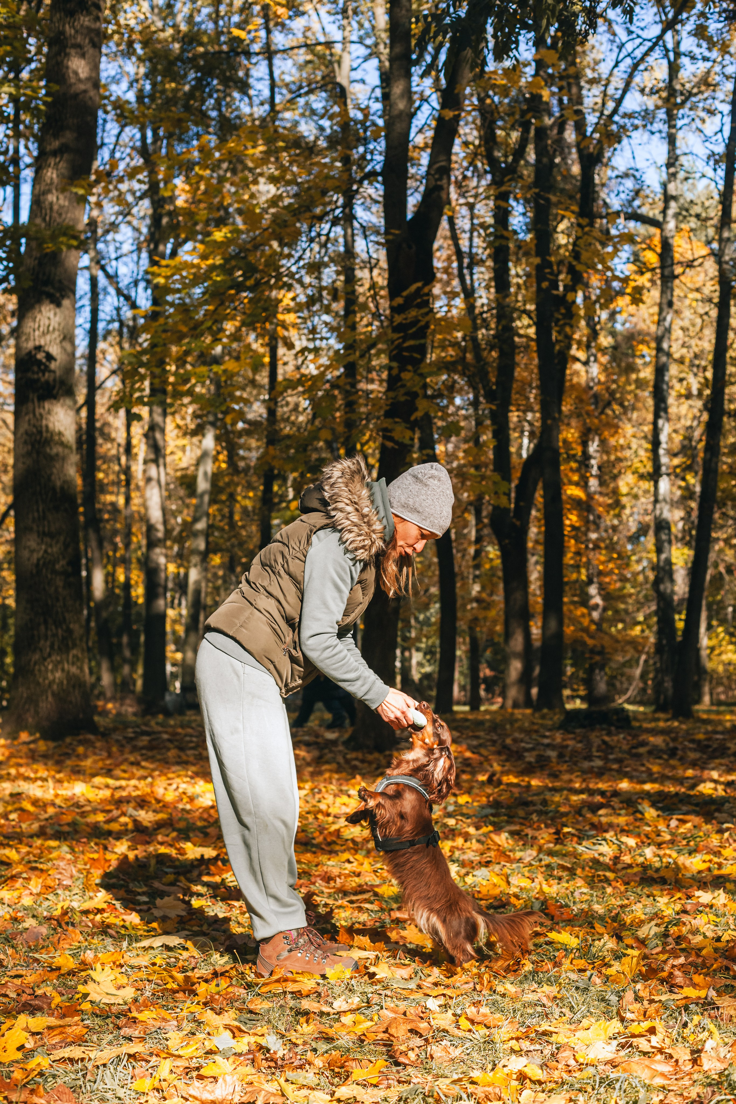 Света, Хайди, Богдана. Фотограф-анималист Татьяна Степанова