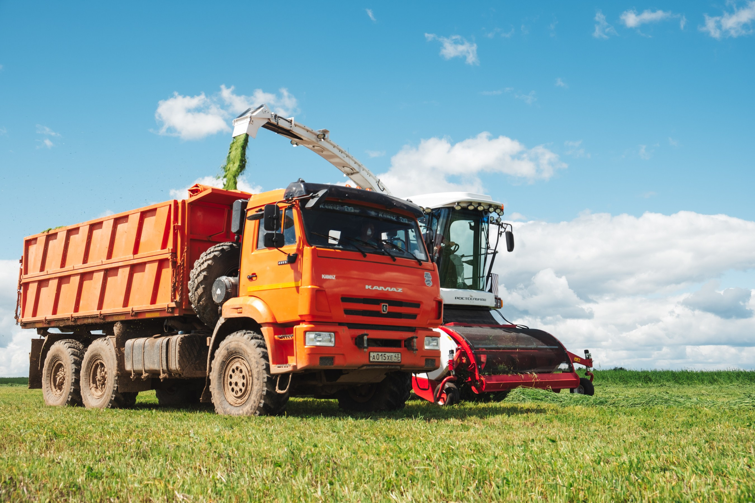 «Вятушка» и «РОСТСЕЛЬМАШ». Varankin denis