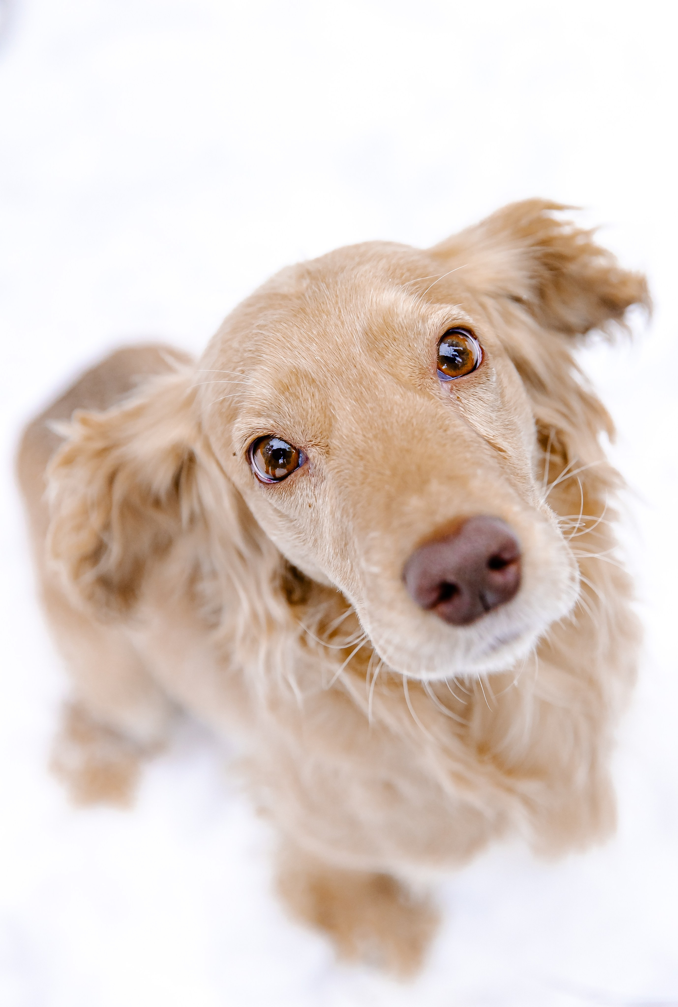 Прогулка в лесу. Свадебный и семейный фотограф в Рязани Саша Крутых