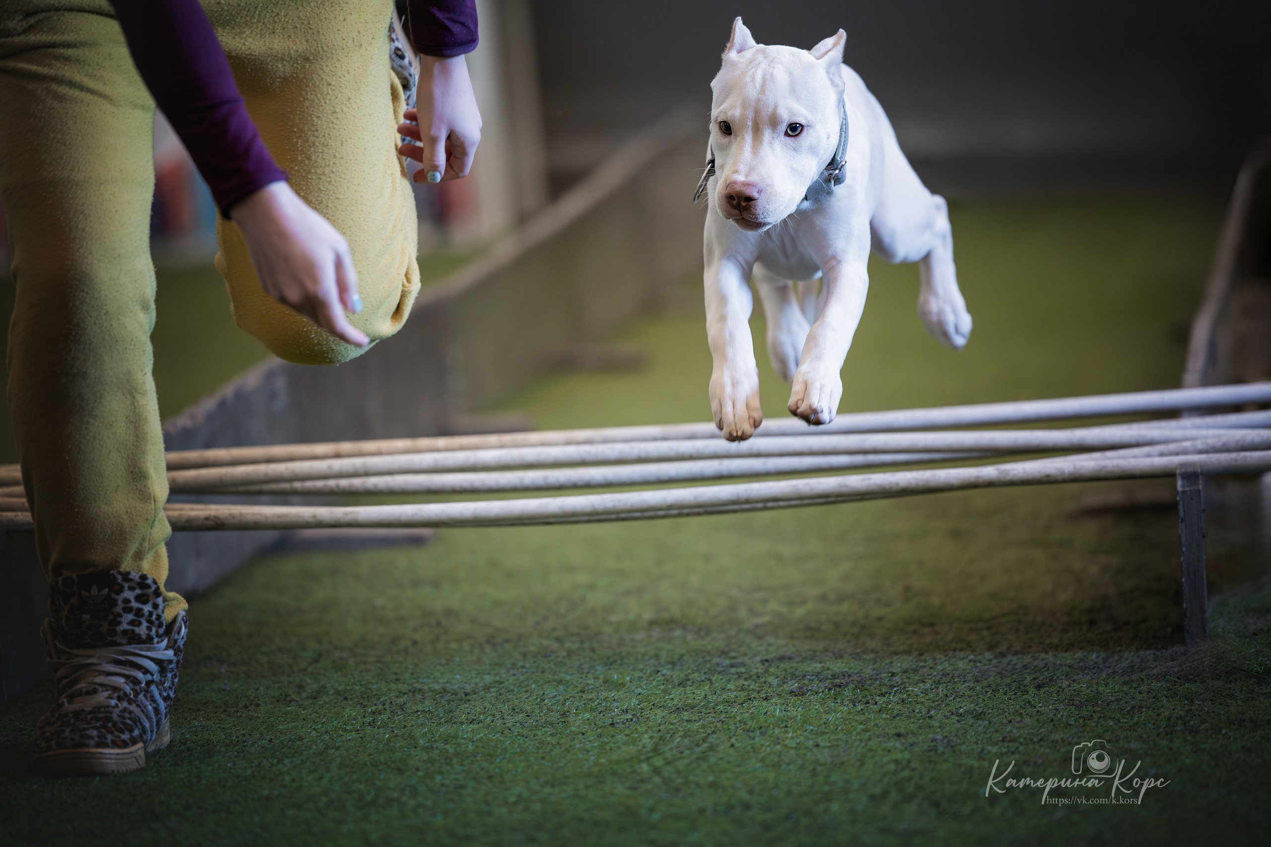 Спорт. Главная