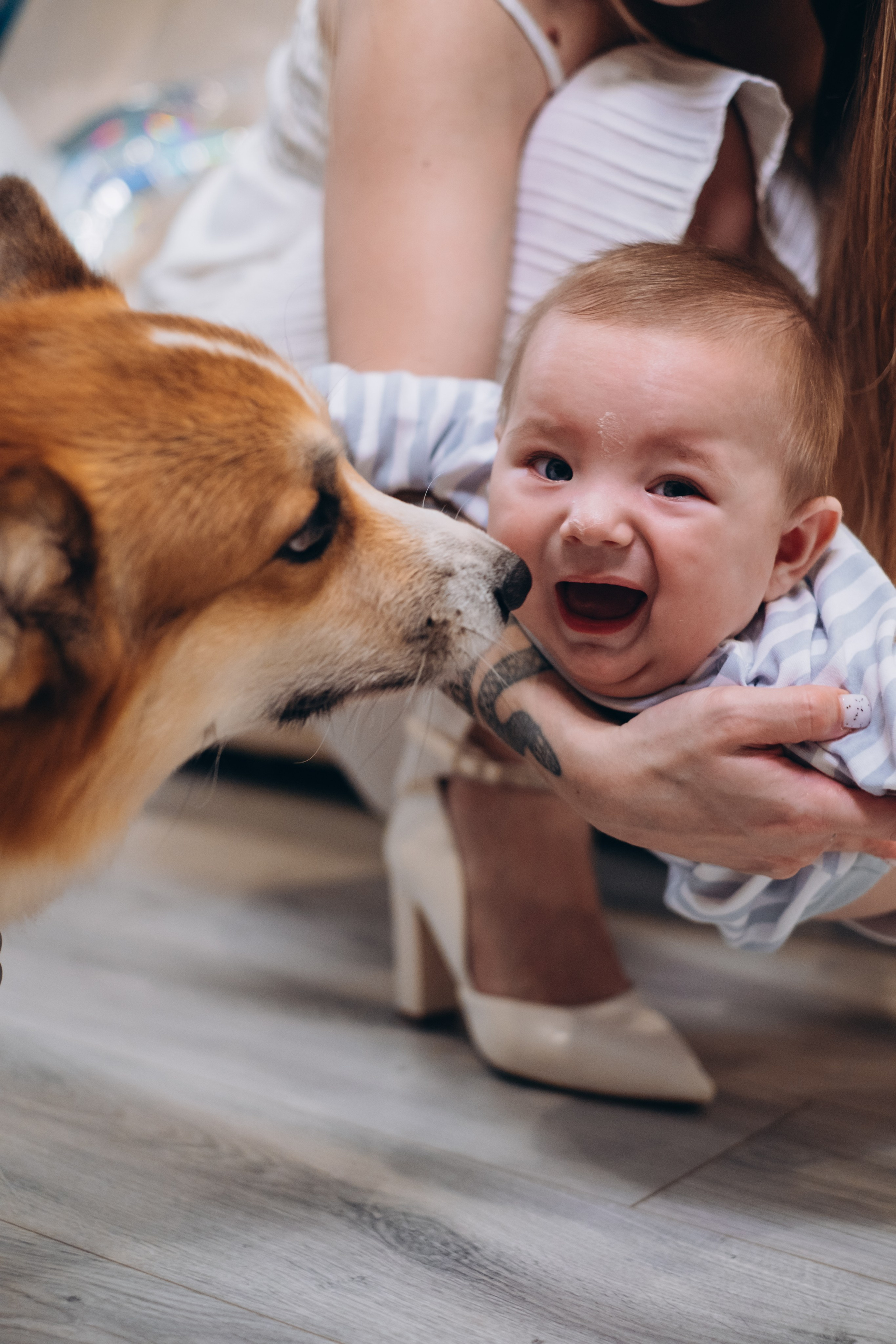Семейная съёмка. Портретный фотограф | Валерия Кичигина