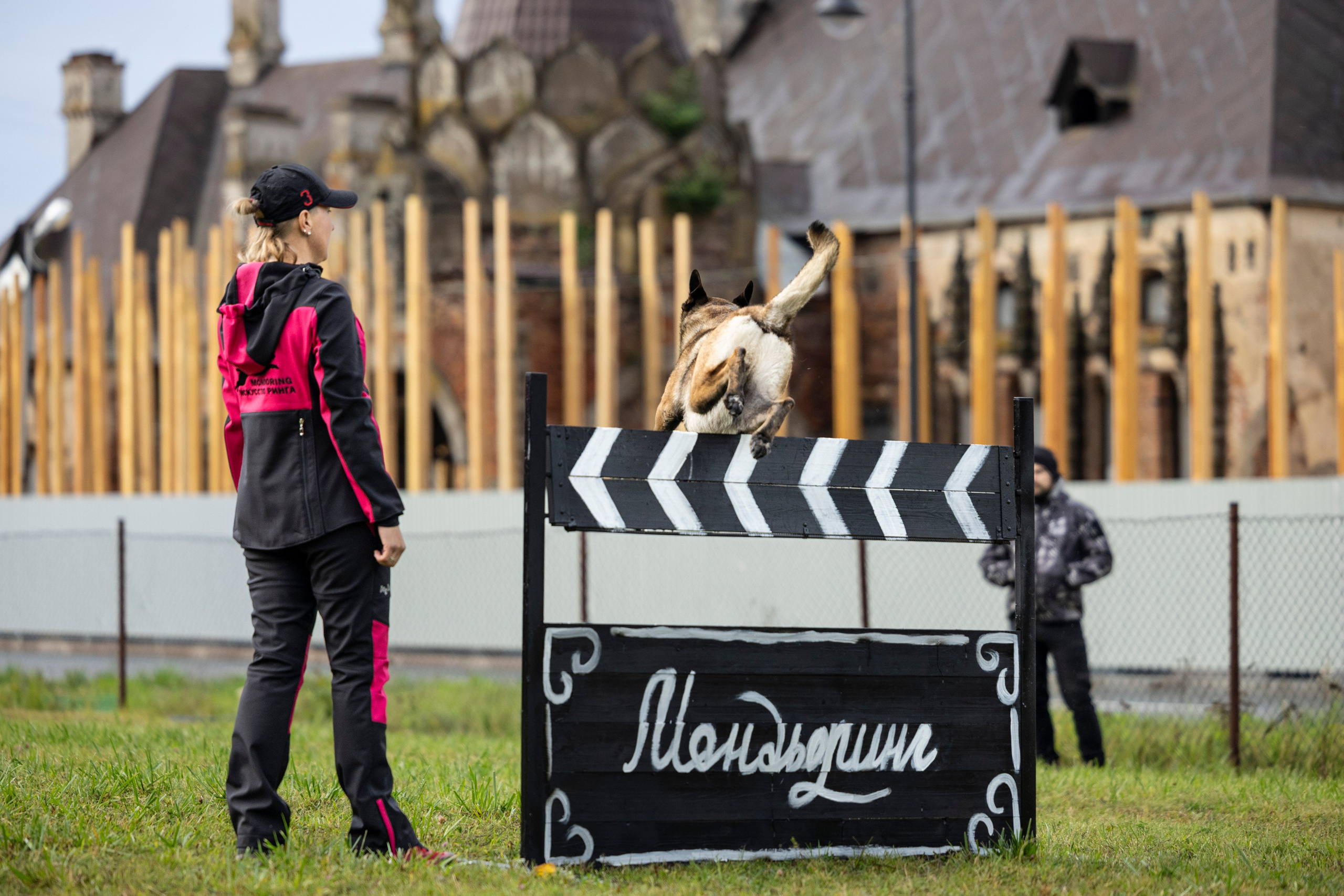 Испытания по Мондьорингу г. Пушкин. Фотограф-анималист Анна Маринич