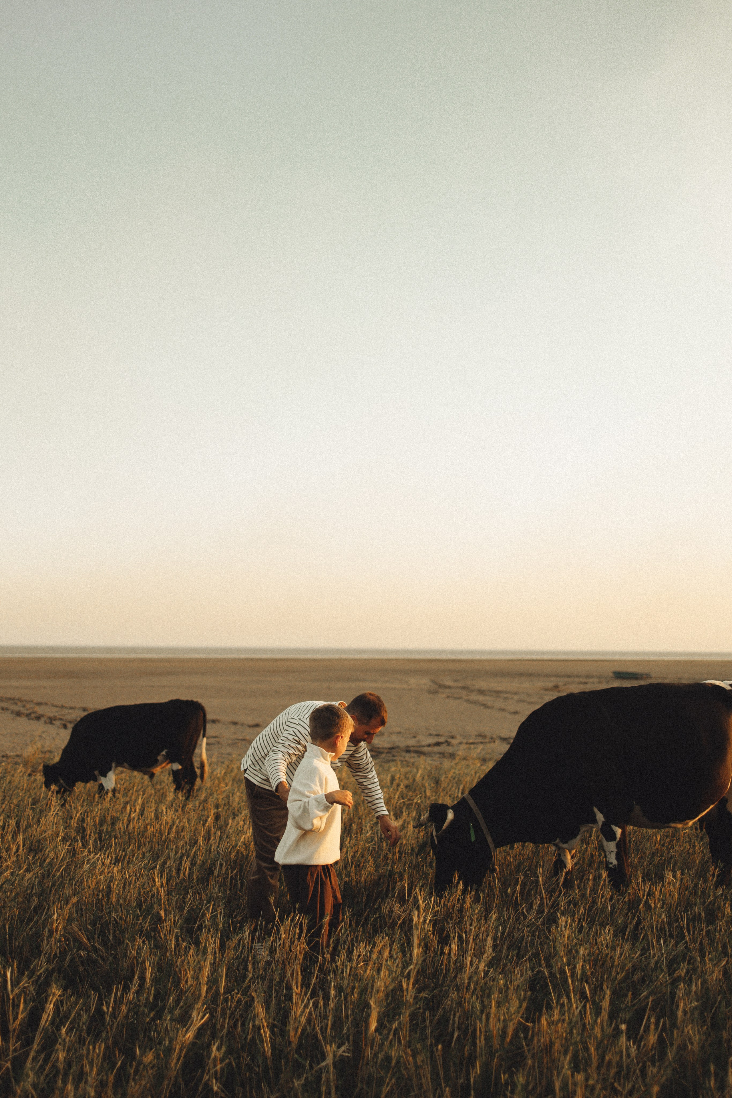Семейная история, закат в Мержаново. Семейный и детский фотограф, таганрог, ростов-на-дону