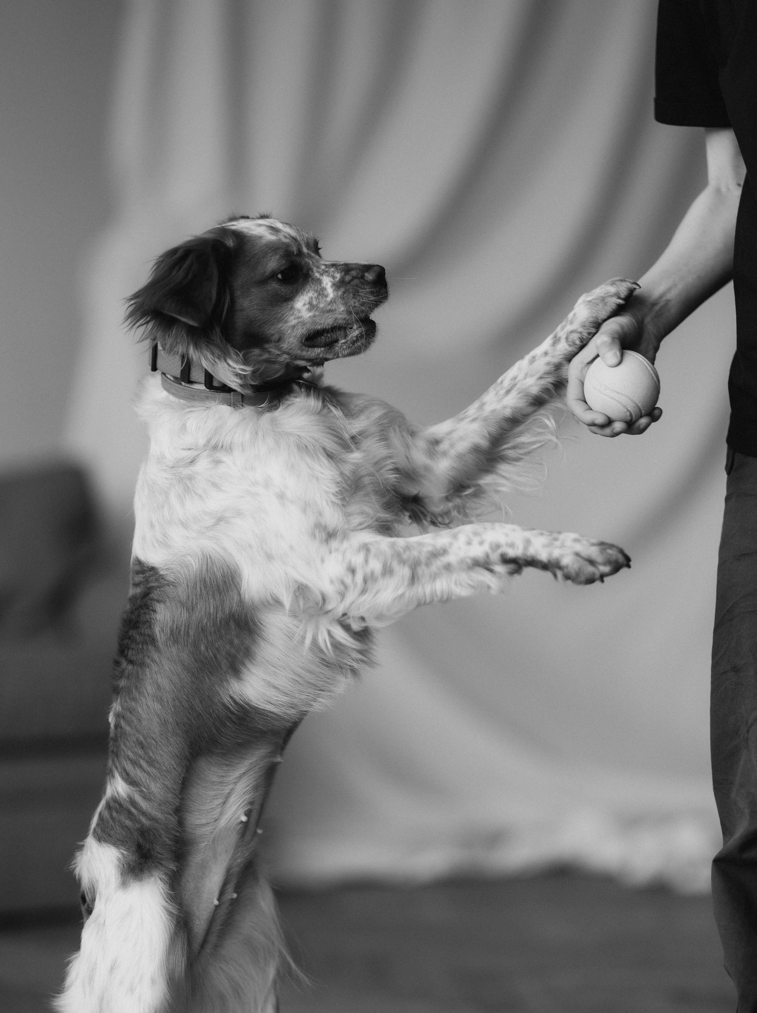 Настя и Уля. Татьяна Афонина | Фотограф