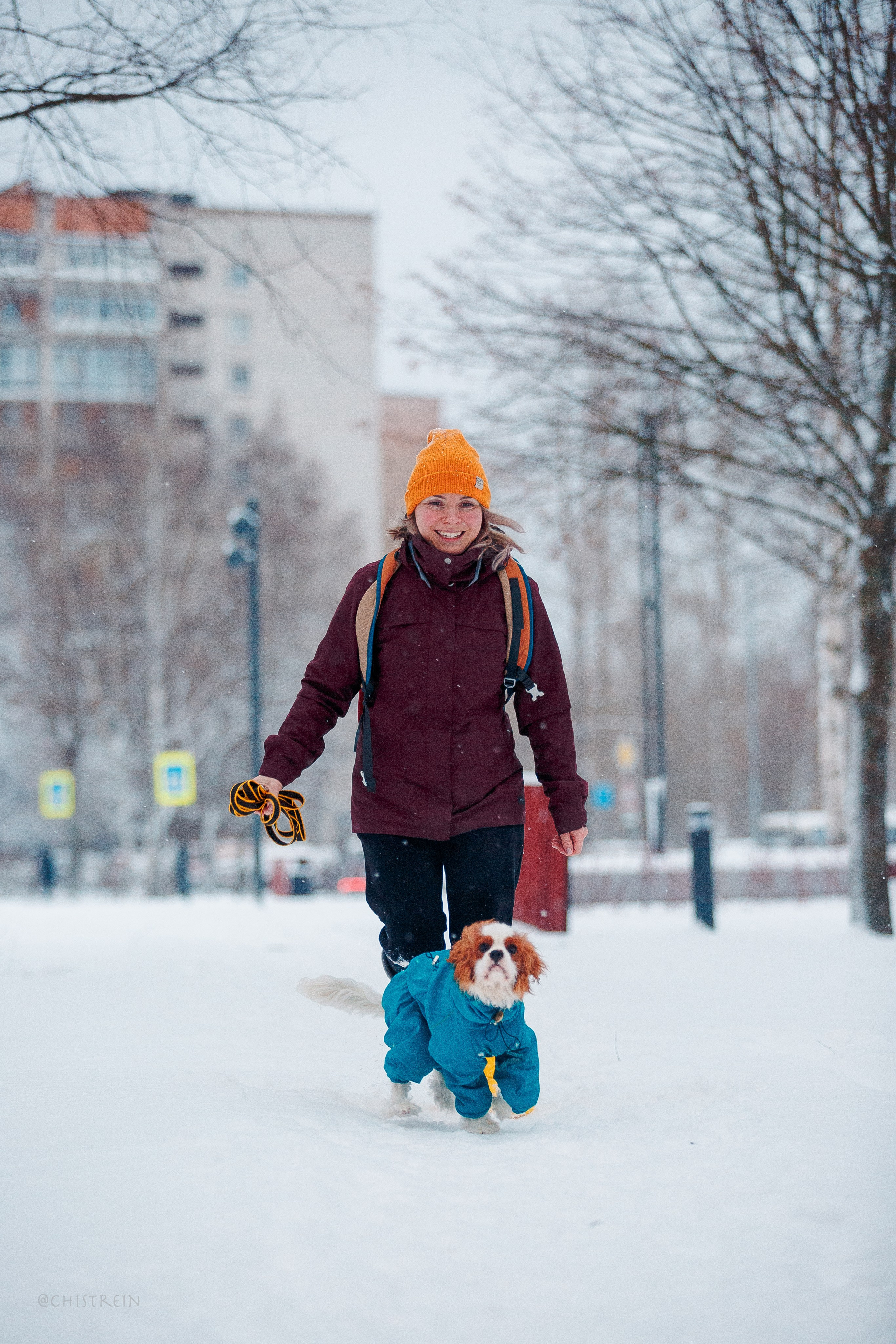 Внезапно апрельская зима. Фотограф-анималист Наталия Чистюхина в г. Сосновый Бор и ЛО