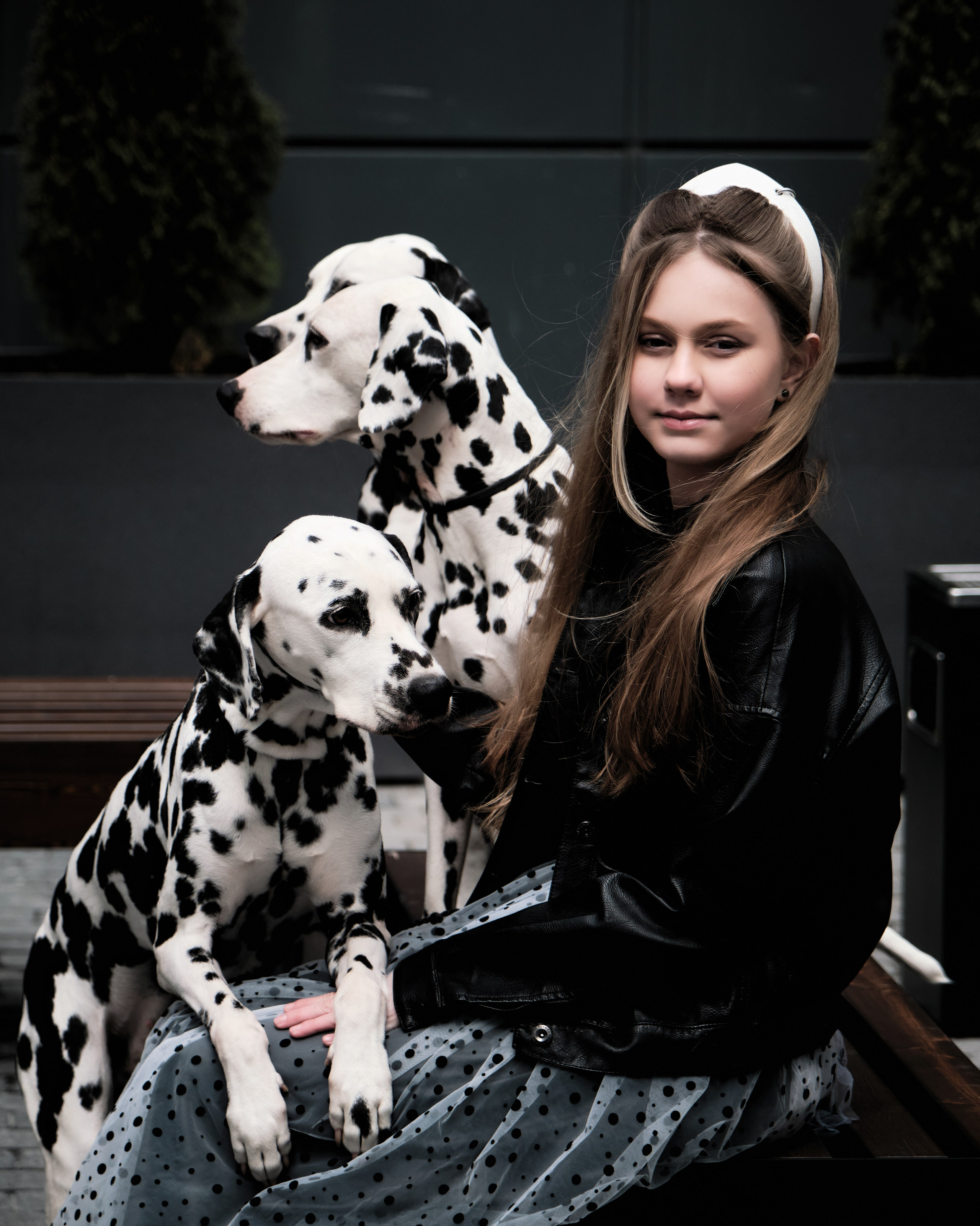 далматинец для фото в Москве фотограф Виктория Колышева