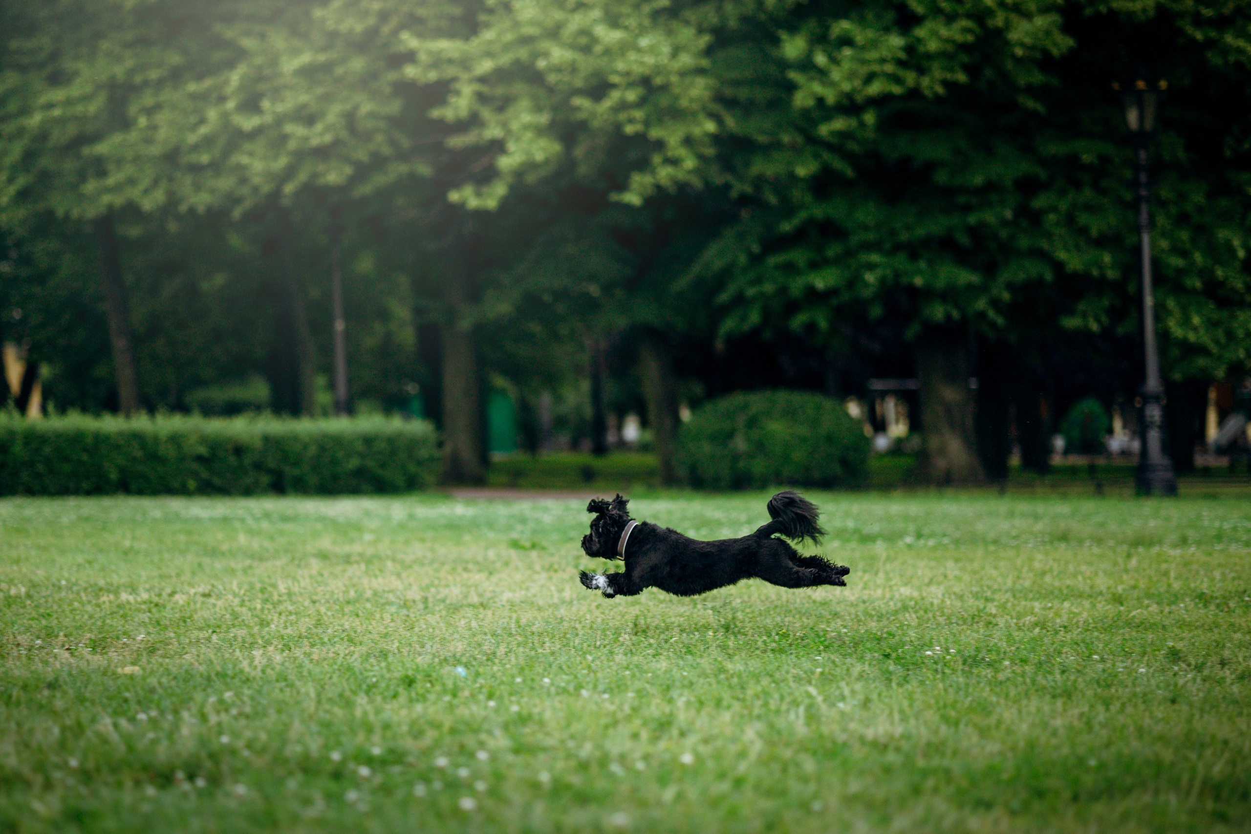 Даша и Борис. Фотограф — Анималист | Санкт-Петербург