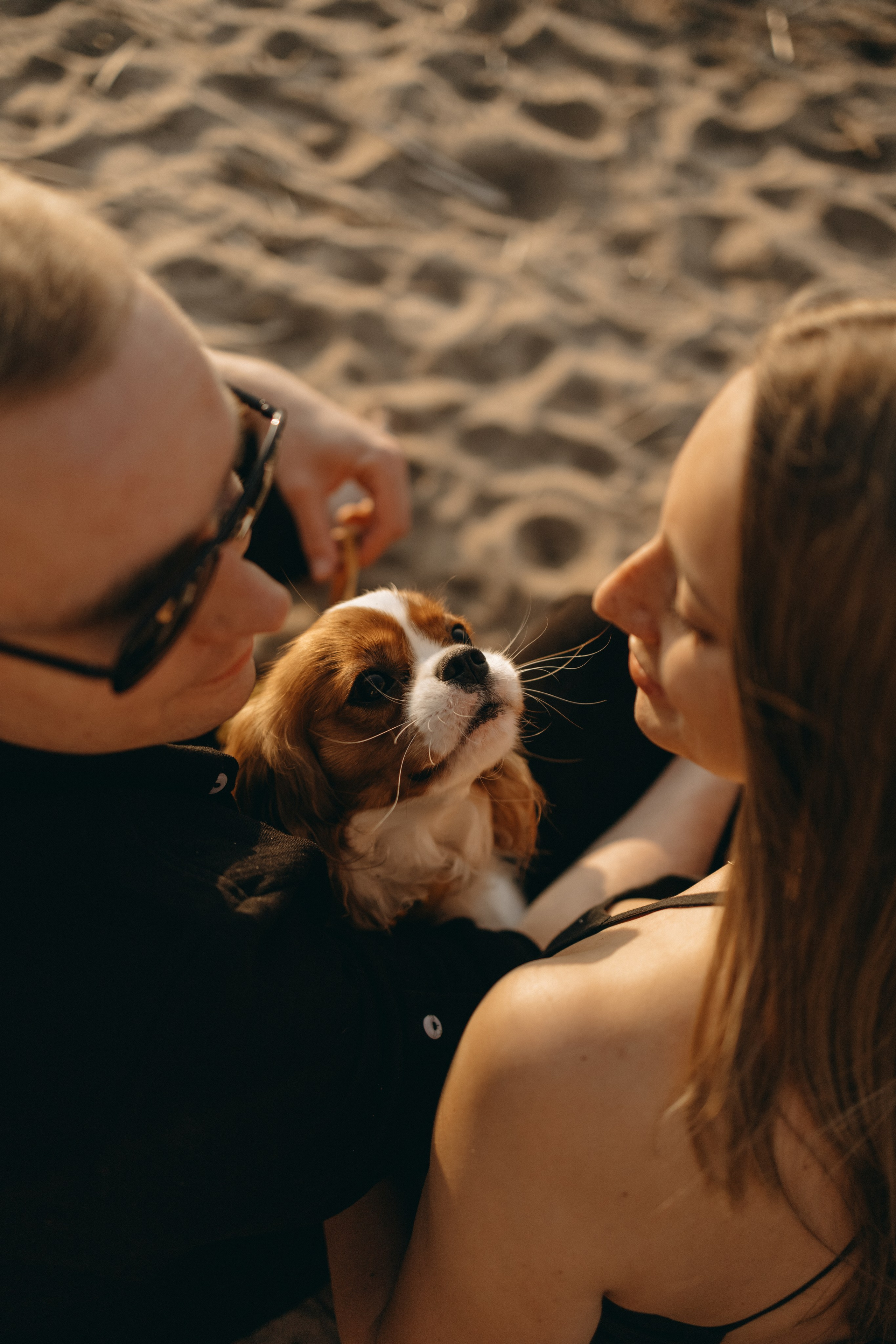 Лу и его семья. Фотограф — Анималист | Санкт-Петербург