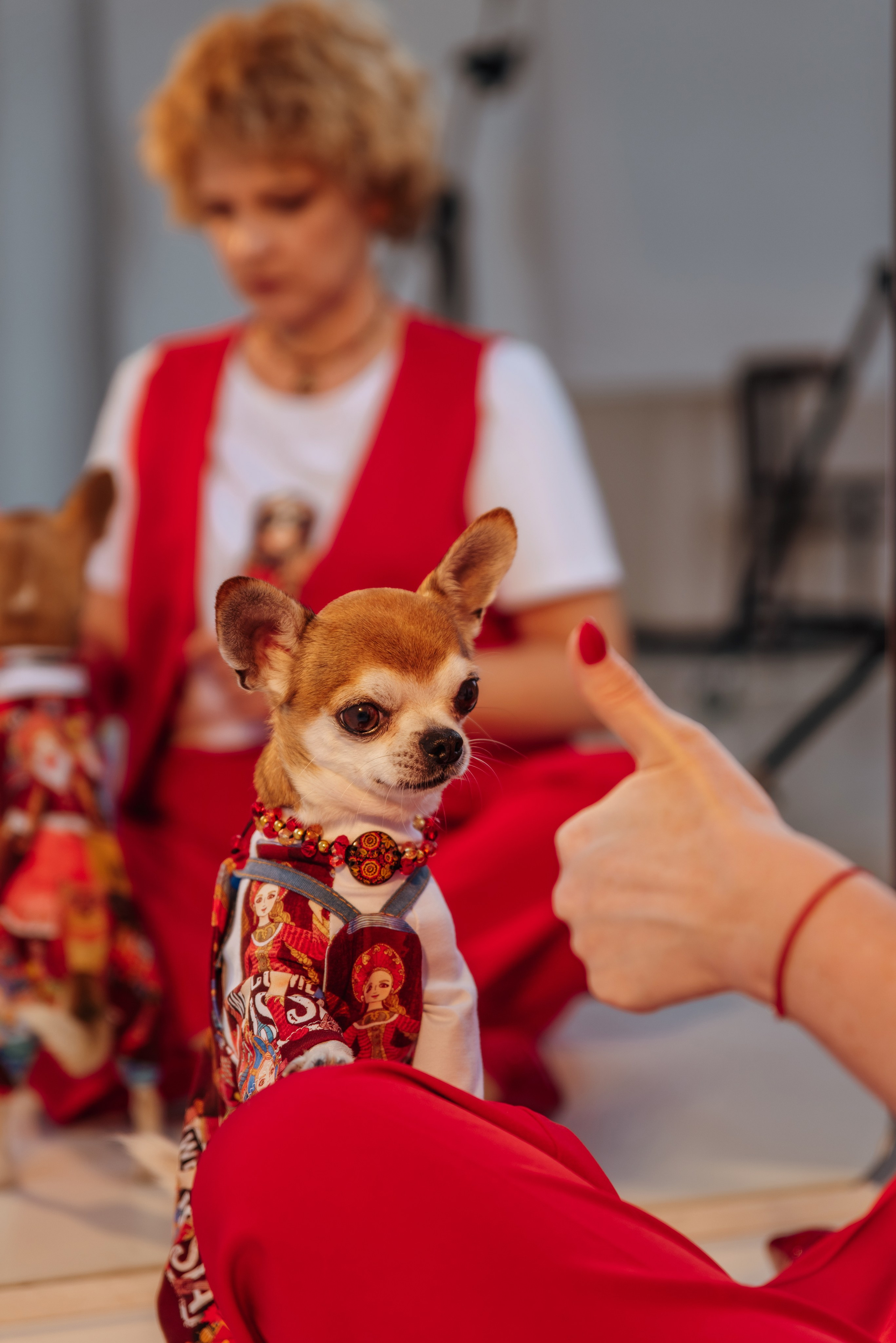 Лена для дома моды. Ольга Козлова фотограф Волгоград olkiny-fotki.ru