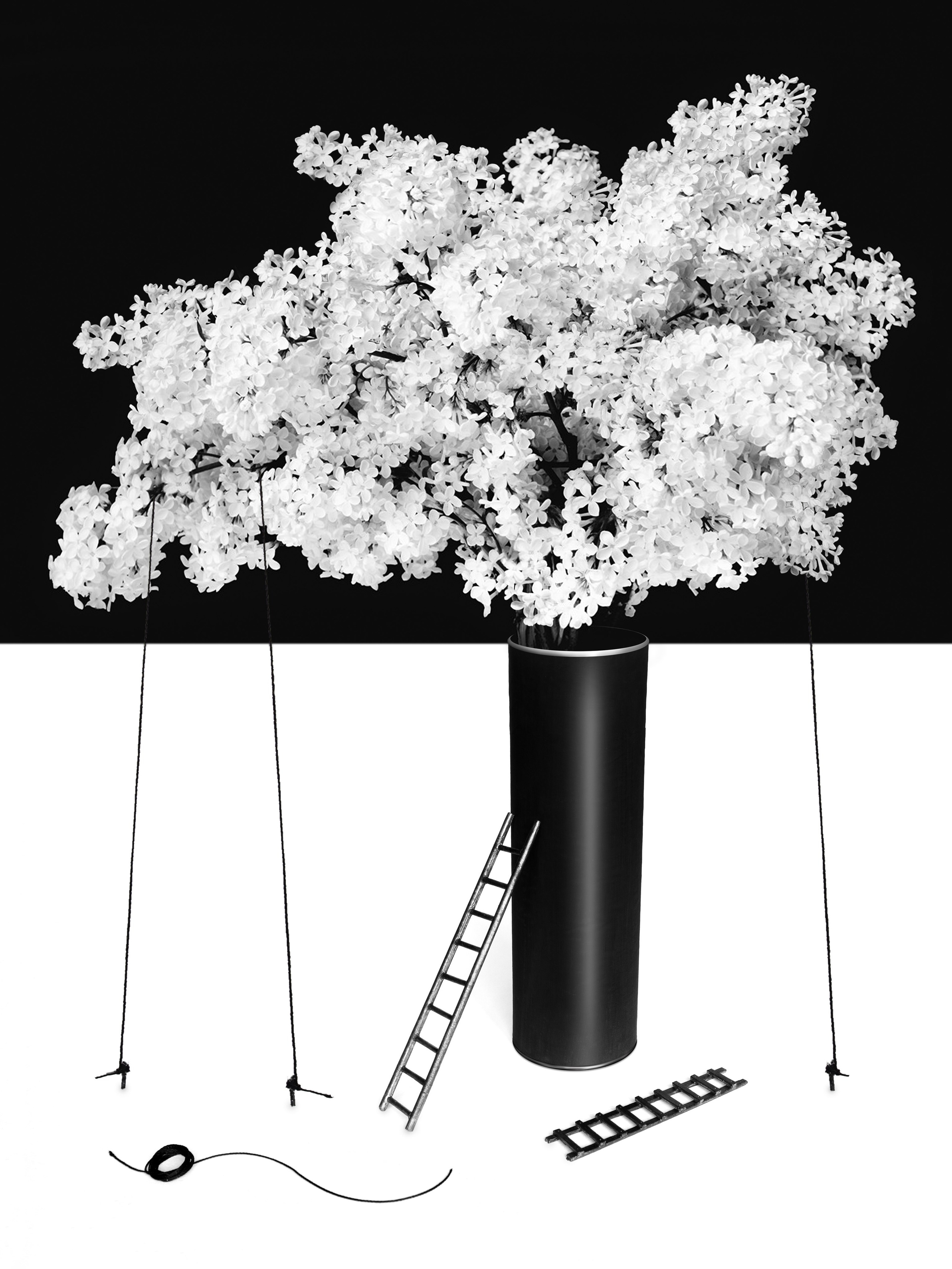 Арт фотография. Фотограф Бисеров Илья Челябинск