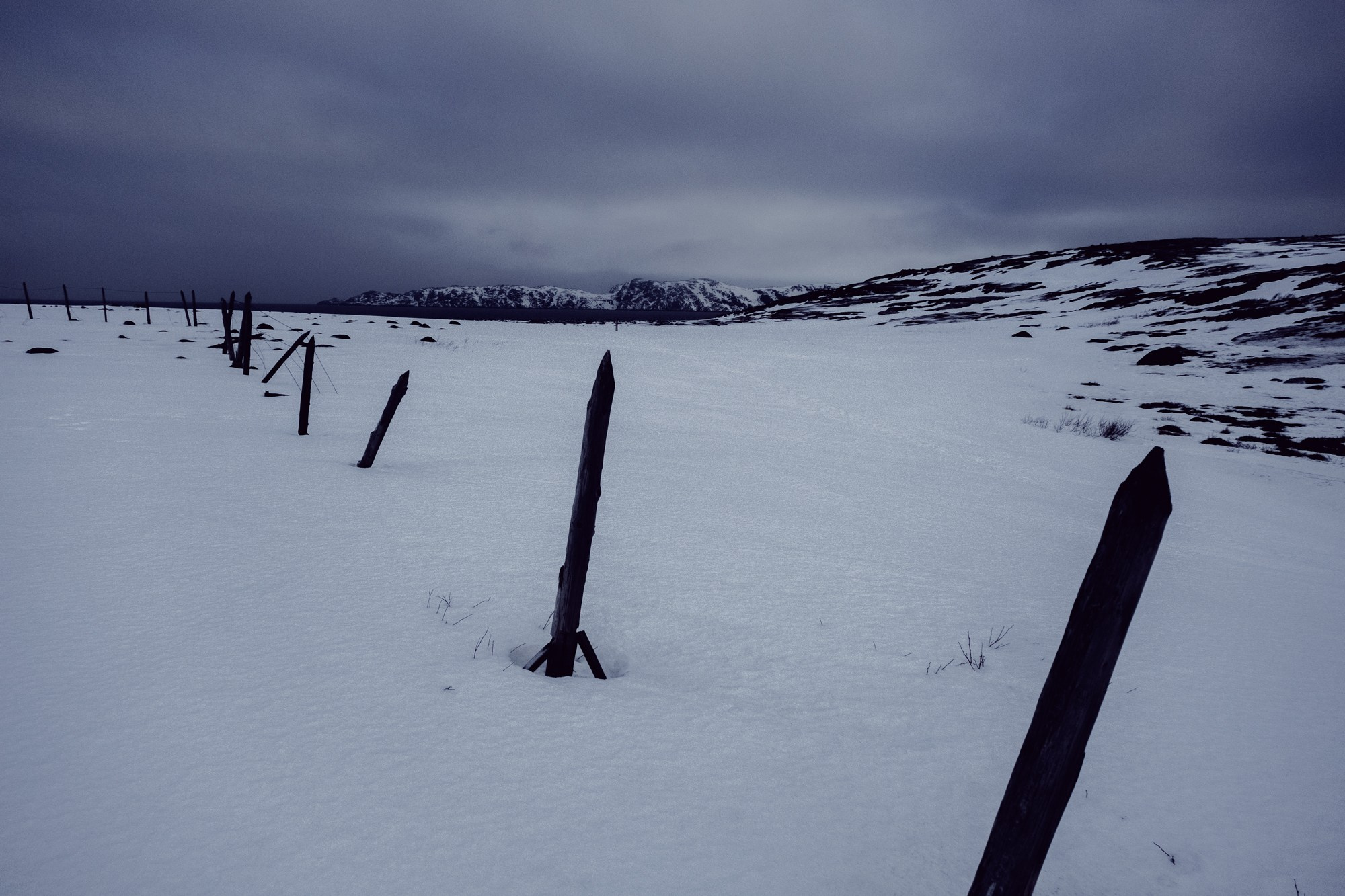 Териберка. Фотограф Дмитрий Олрайт | Калуга, Россия