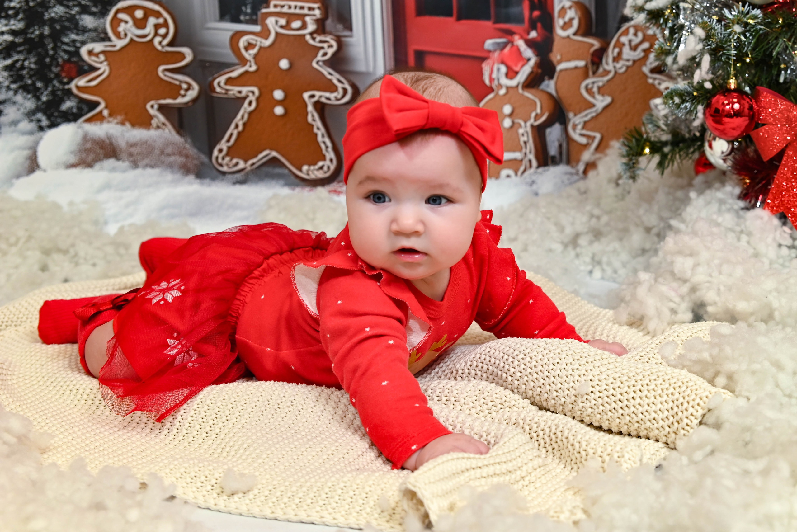 Новогодняя сказка. Выпускные альбомы для детских садов Санкт-Петербург