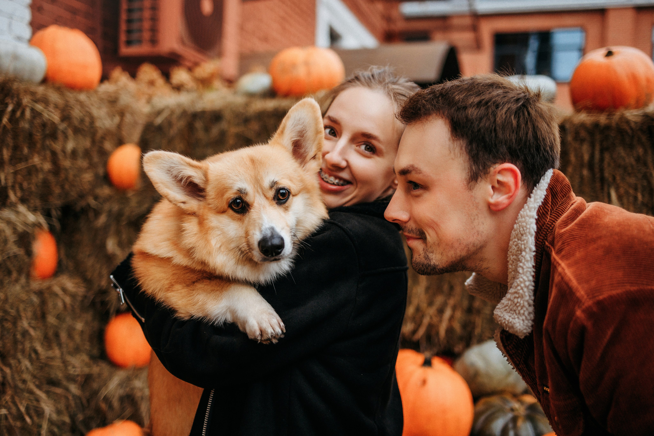 Вера, Саша и Муна. Фотограф-анималист Елена Радченко, Москва