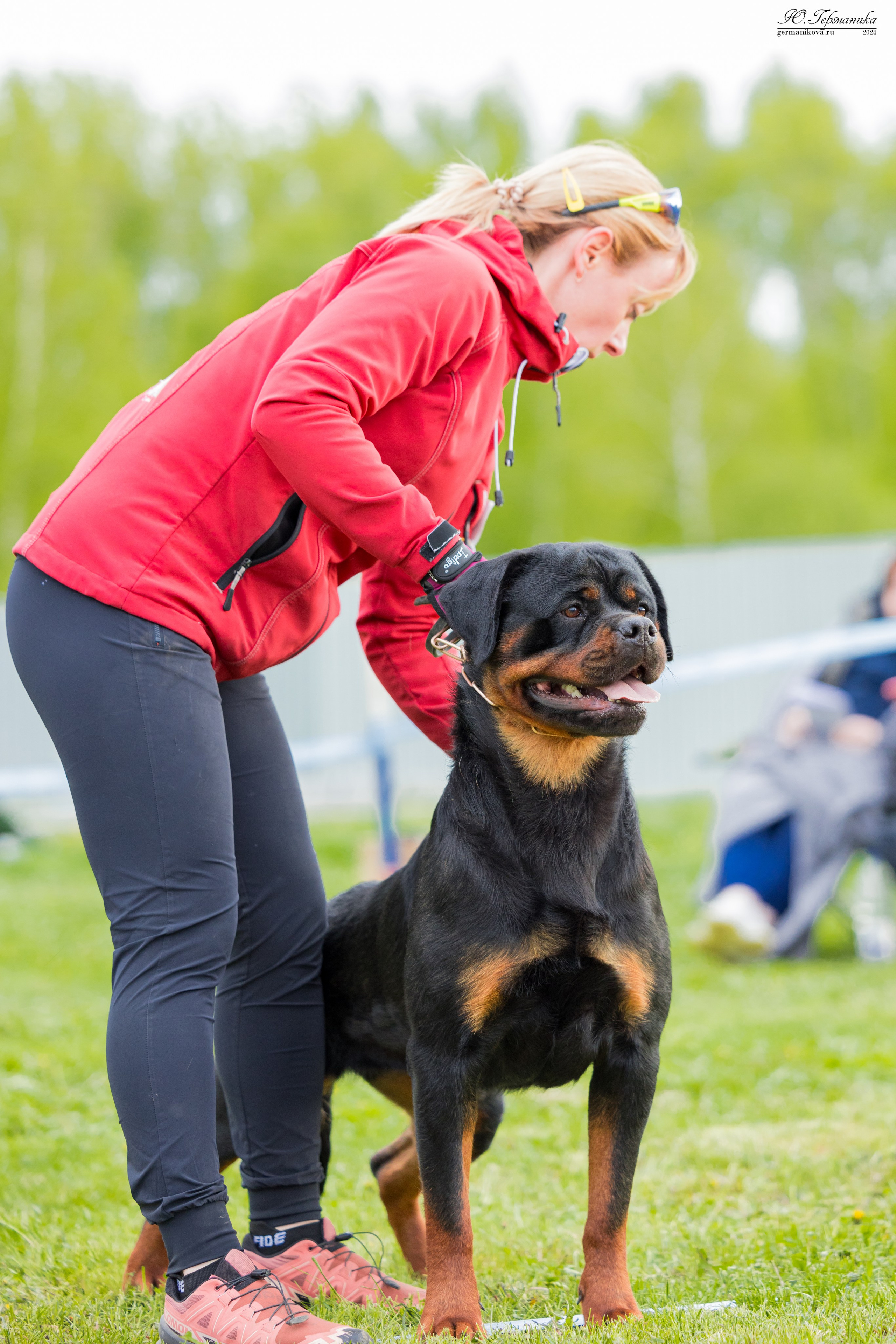 Нижний Новгород 11-12.05.2024 моно ротвейлеров. Фотограф-анималист Юлия Германика