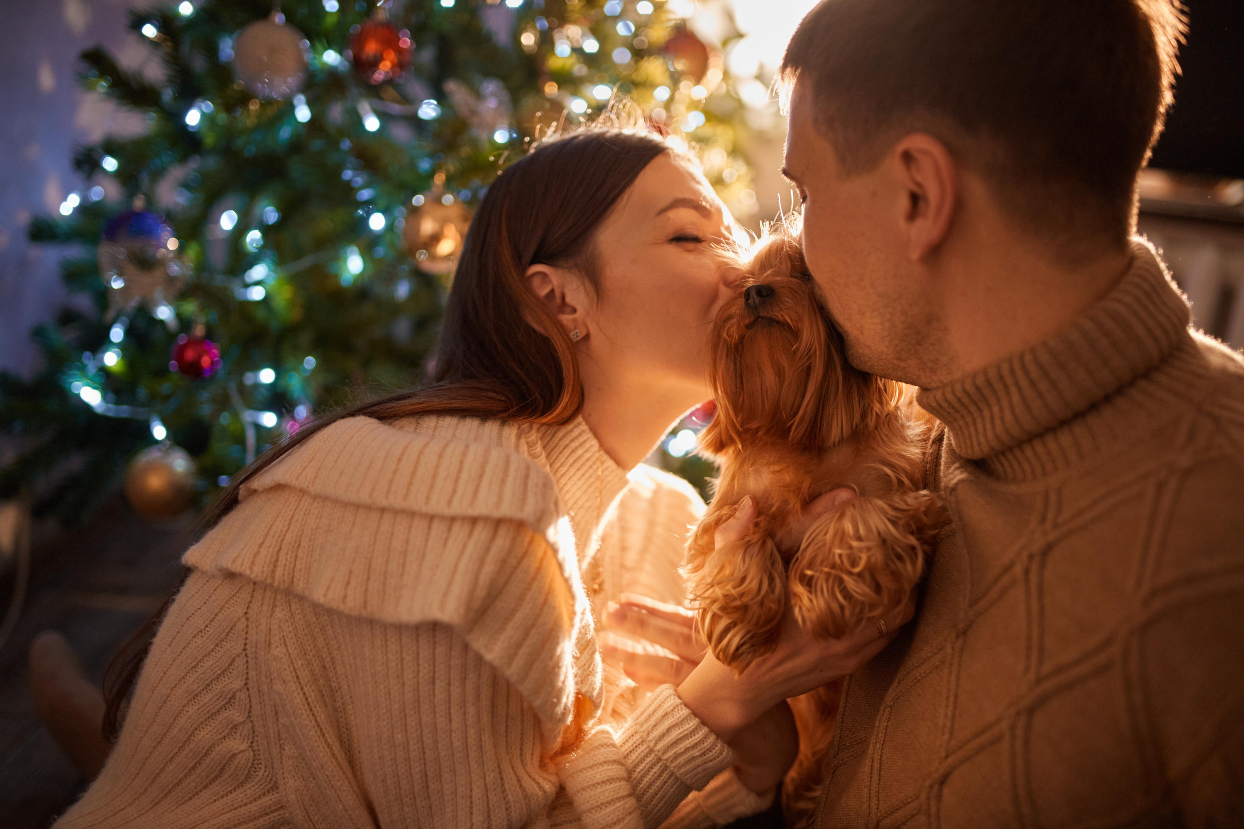 Рождественское утро. Фотограф Валентин Мельников г. Тында