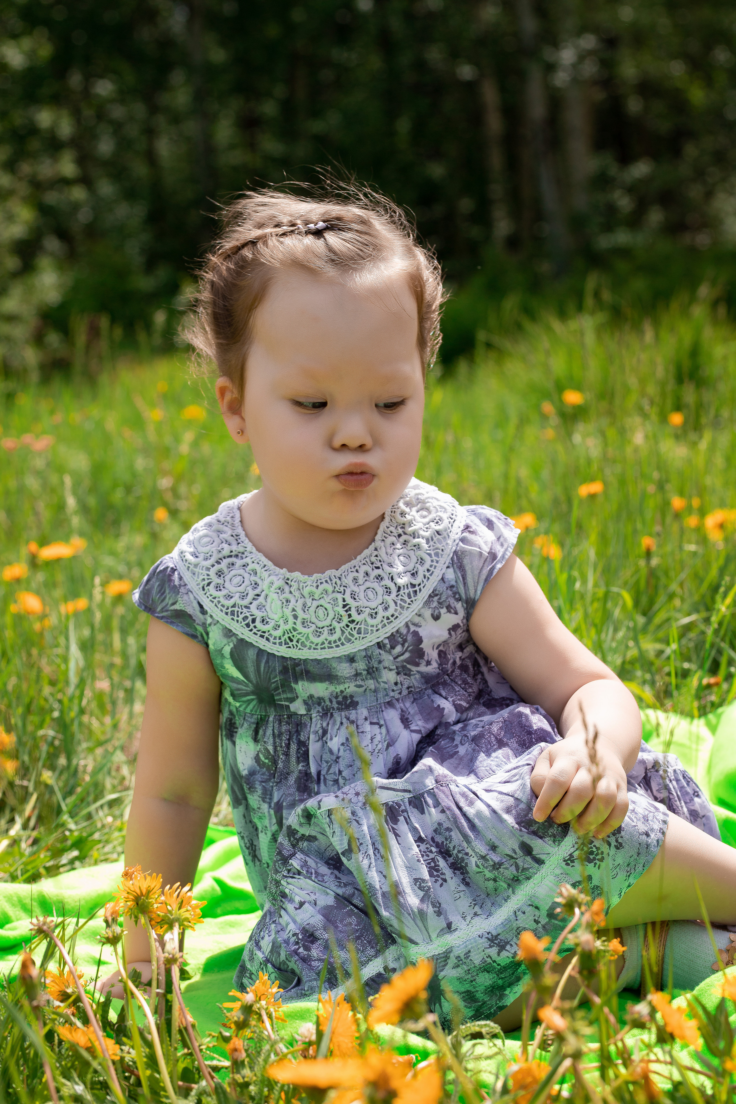 Летний пикник. Фотограф Валентин Мельников г. Тында