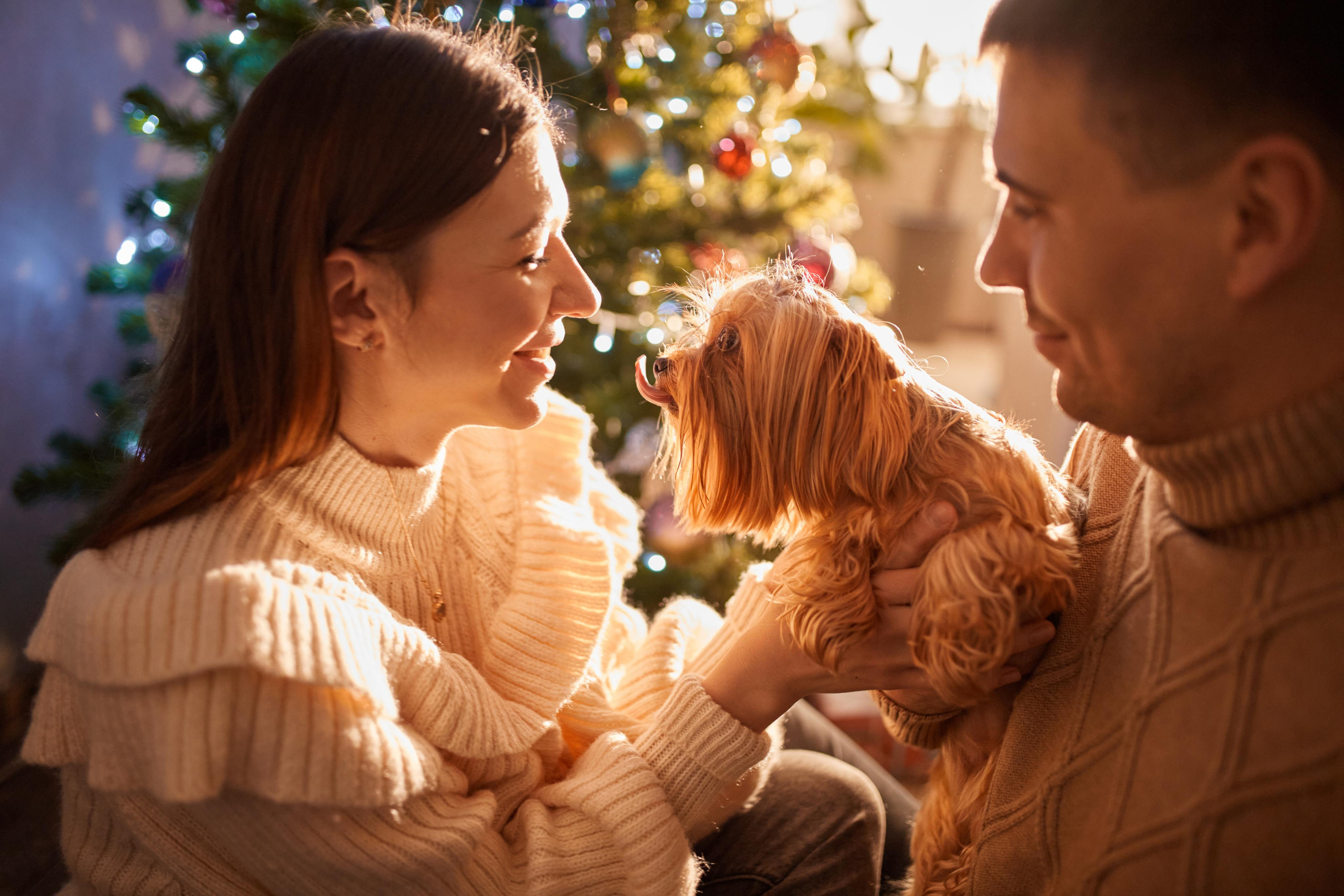 Рождественское утро. Фотограф Валентин Мельников г. Тында