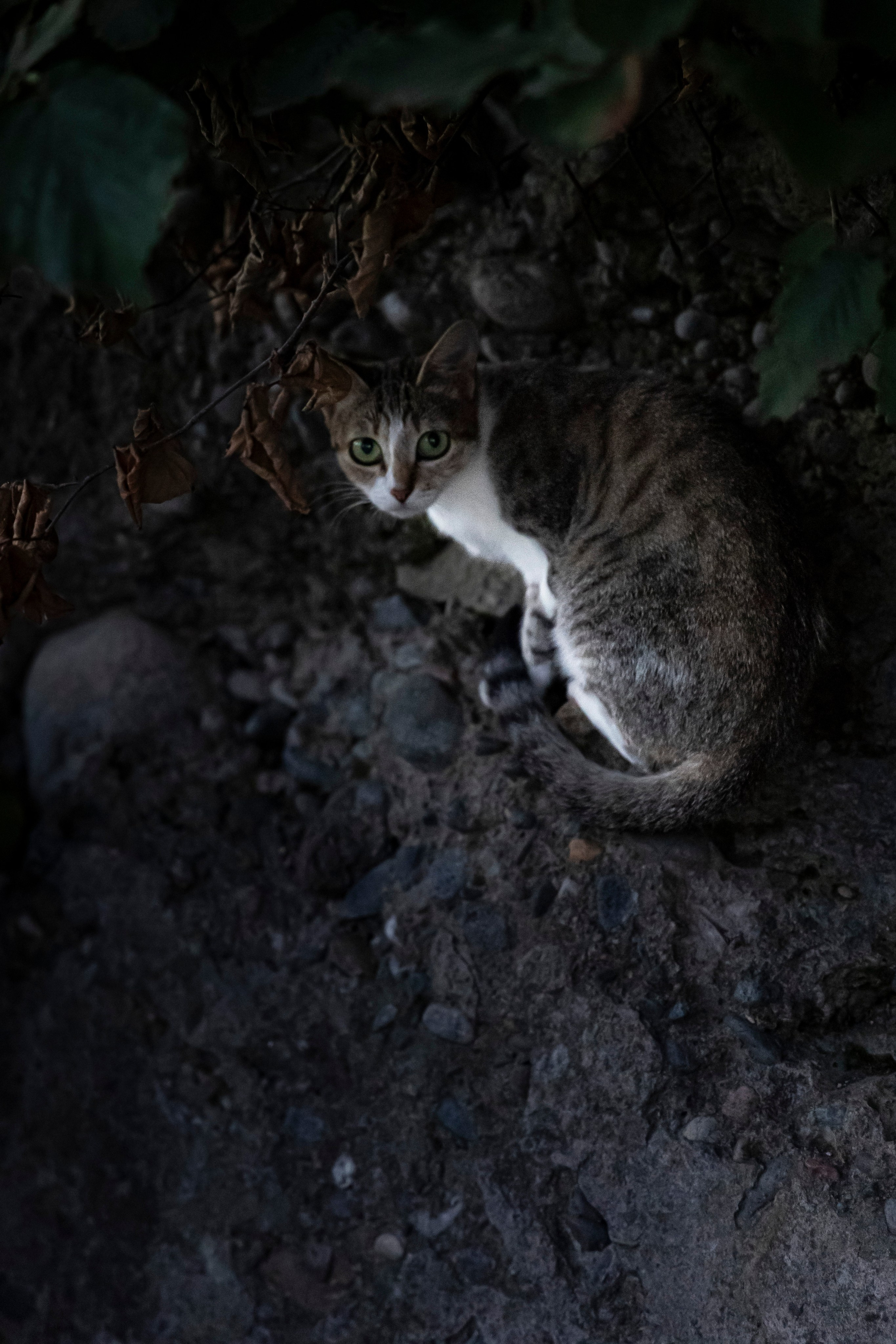 Travel photography. XVVIO PHOTOGRAPHY