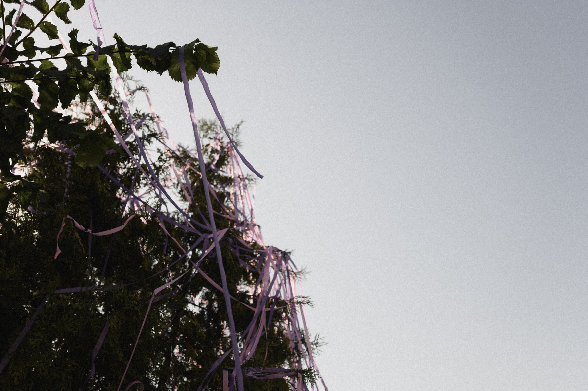 Суздальский поцелуй. Свадебный и семейный фотограф в Ростове-на-Дону