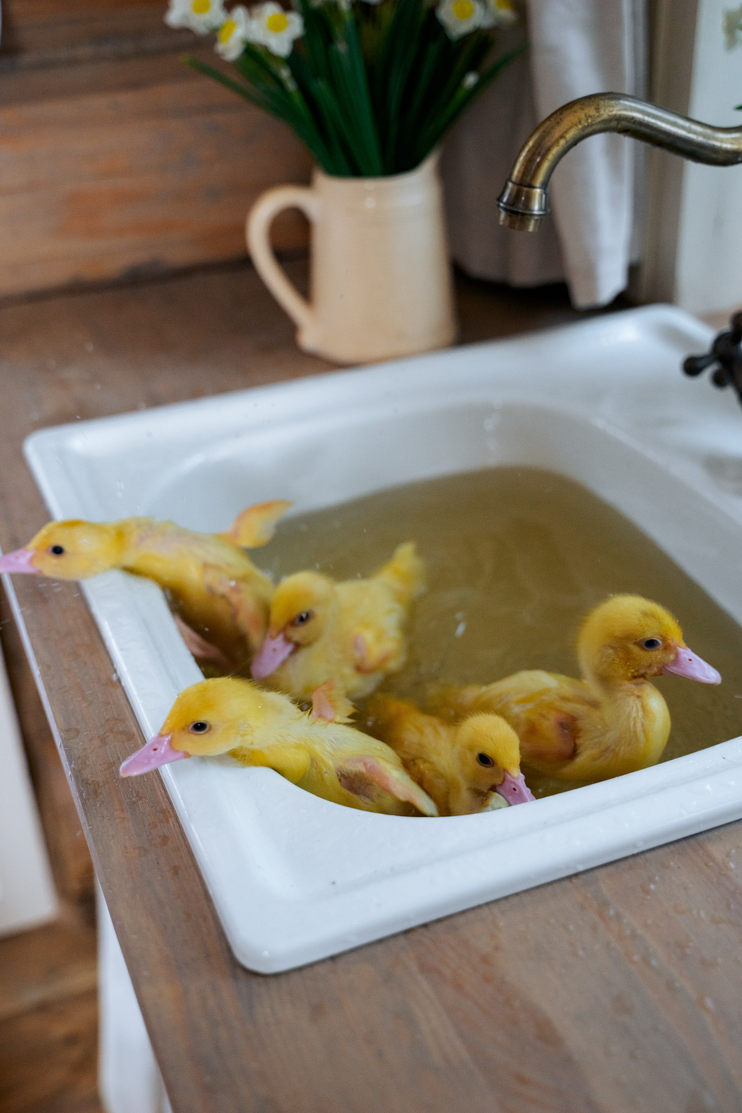 Весенняя Сказка. Фотограф в Казани Алсу Багабиева