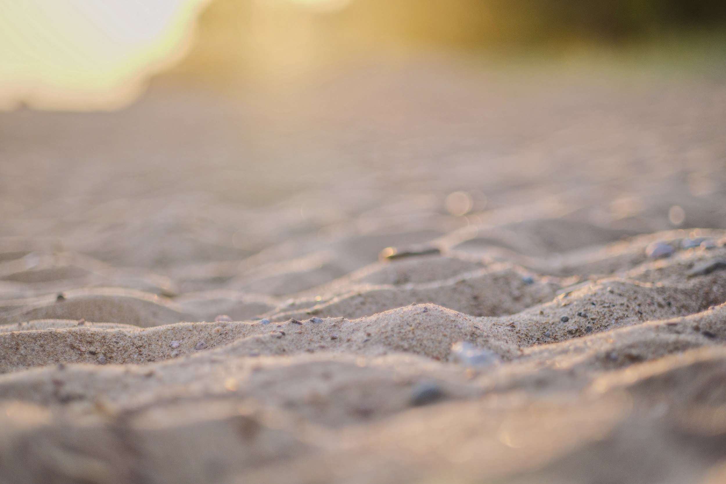 СЕМЕЙНАЯ и СВАДЬБА. Фотограф и оператор-постановщик в Санкт-Петербурге Беликов Валентин