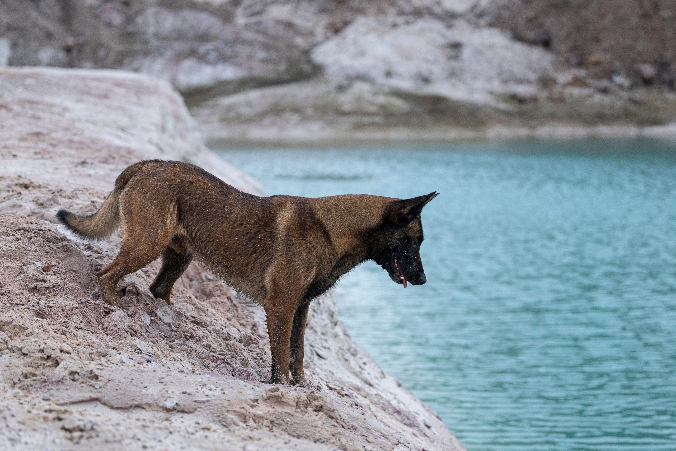 Лужские Мальдивы. Фотограф-анималист Анна Маринич
