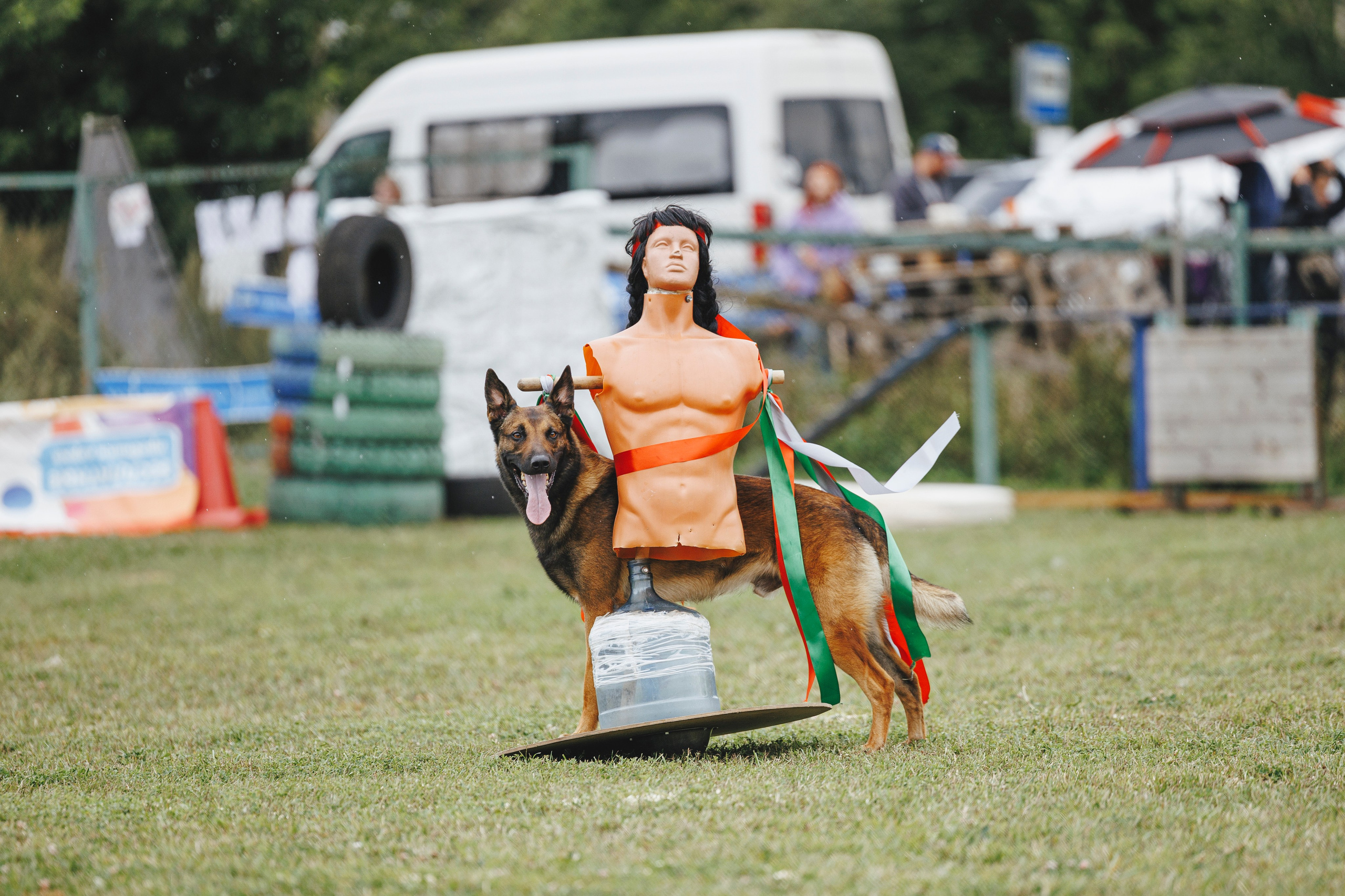 08.08.25-10.08.25 ЧР по мондьорингу г. Вологда. Фотограф-анималист Анна Маринич