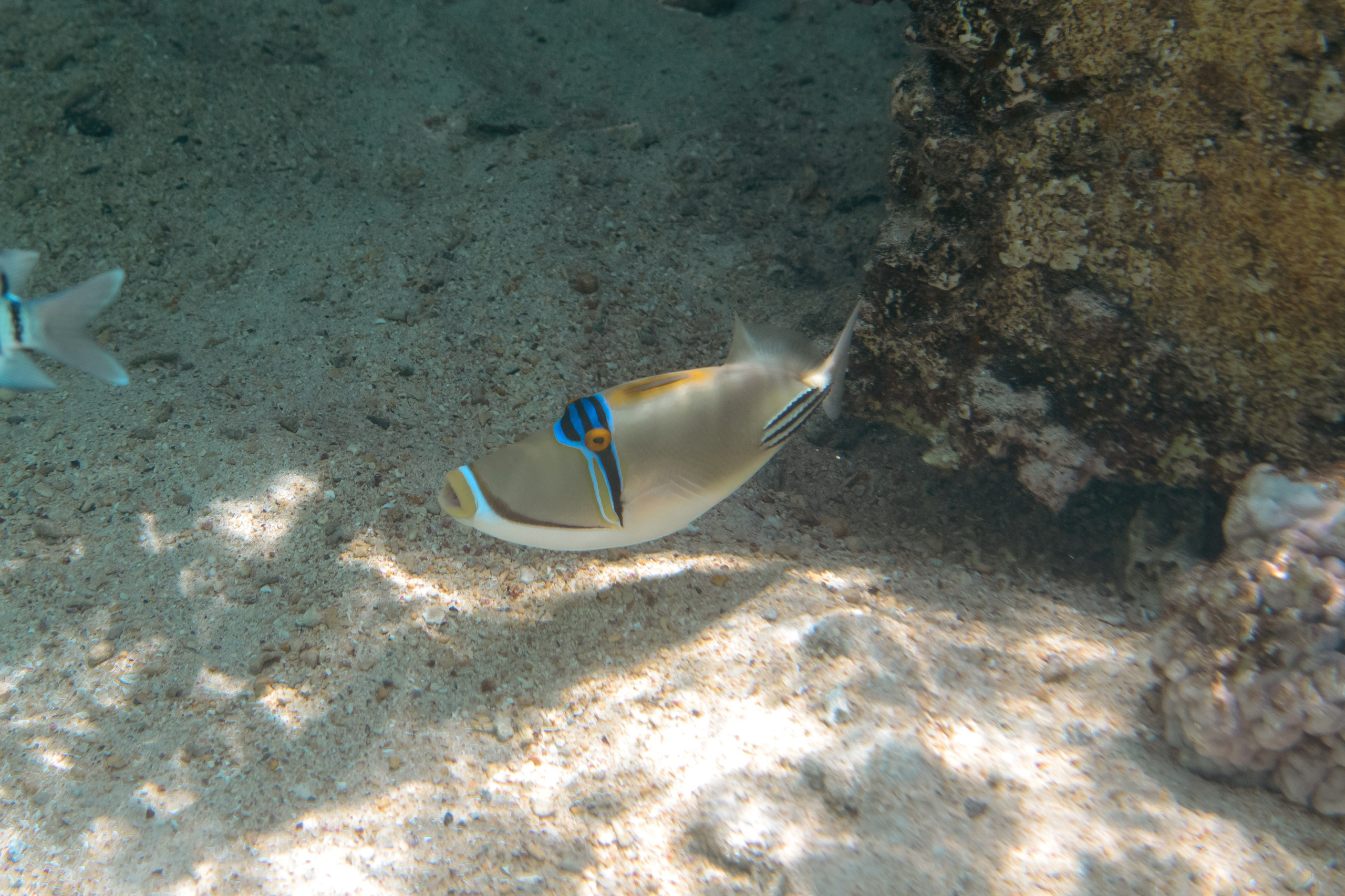 Море. Фотограф в Санкт-Петербурге Ибрагимова Алина