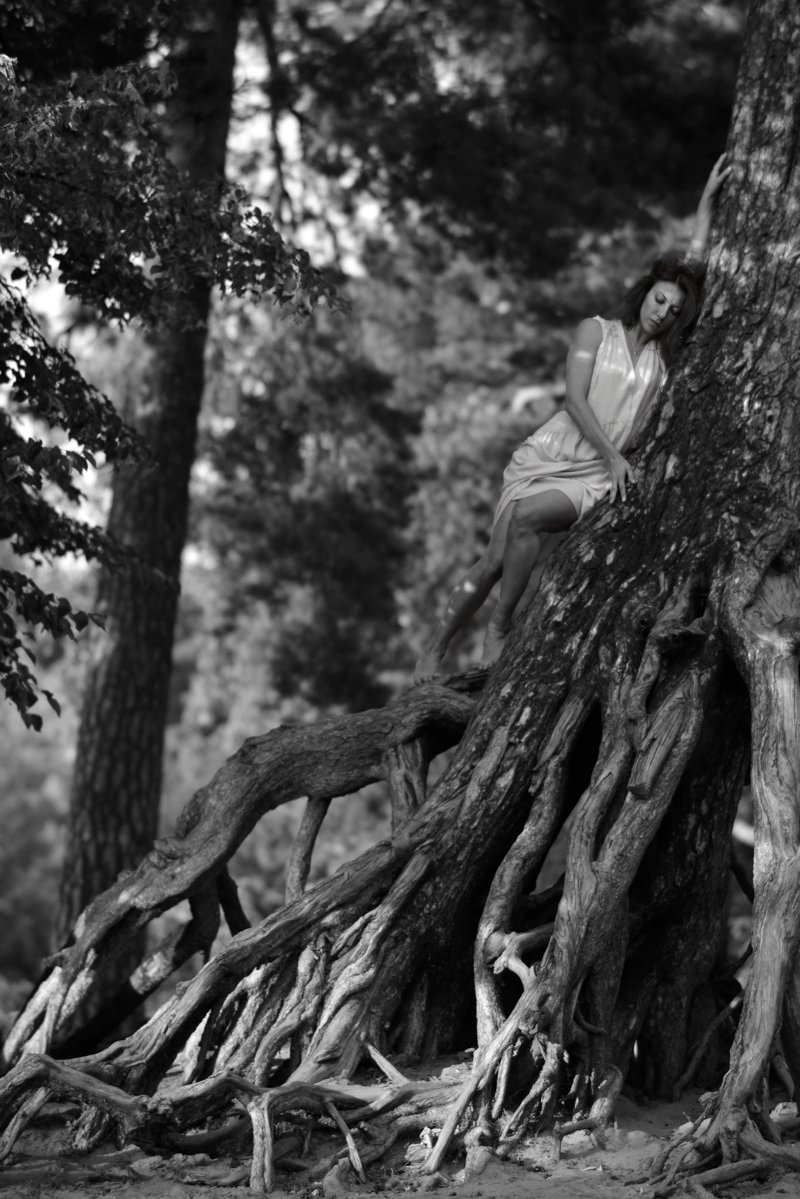Altay | Summer. Bekagaev photography