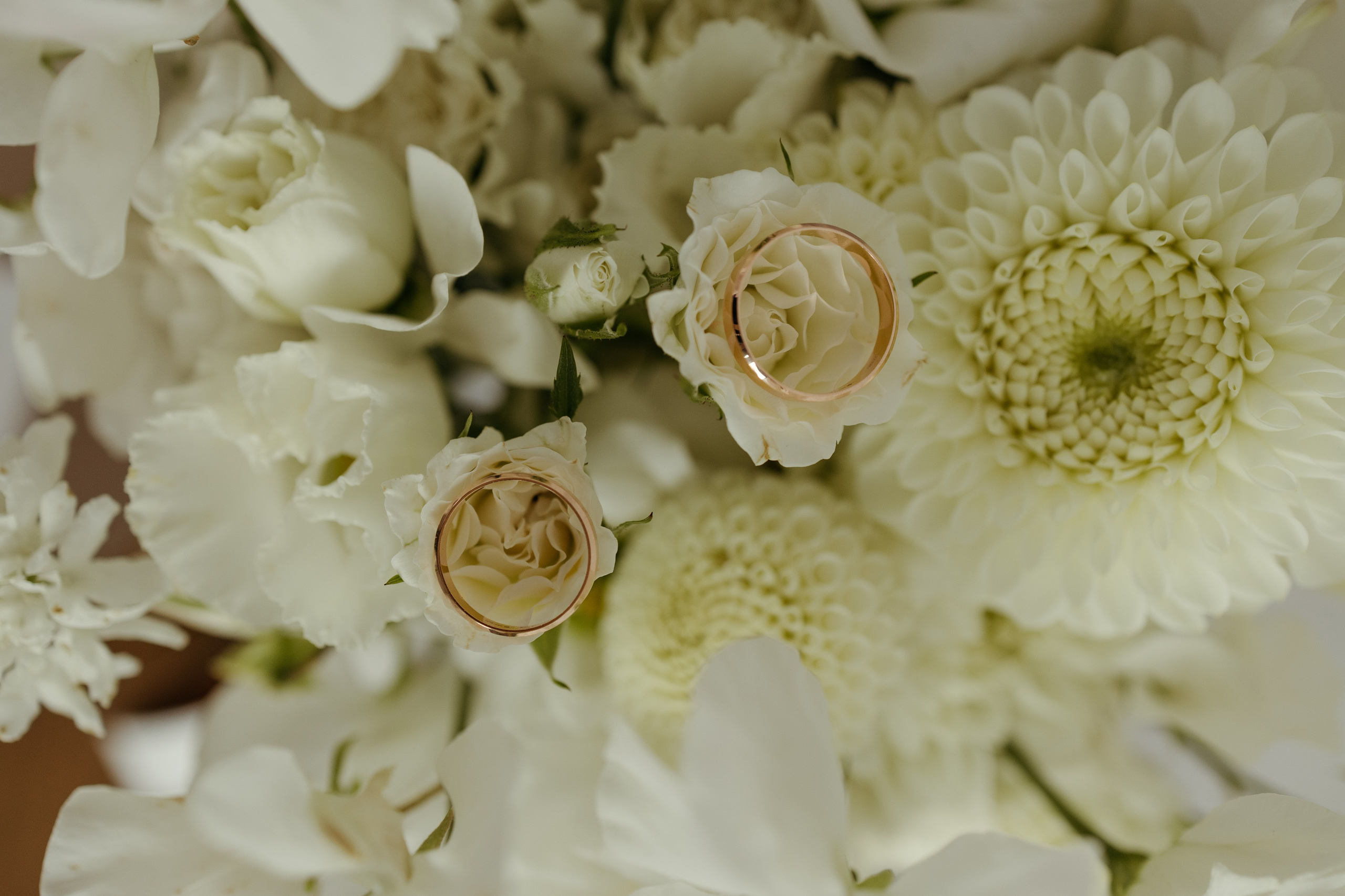 Максим и Ксения. Свадебный фотограф Надежда Попова Архангельск, Санкт-Петербург