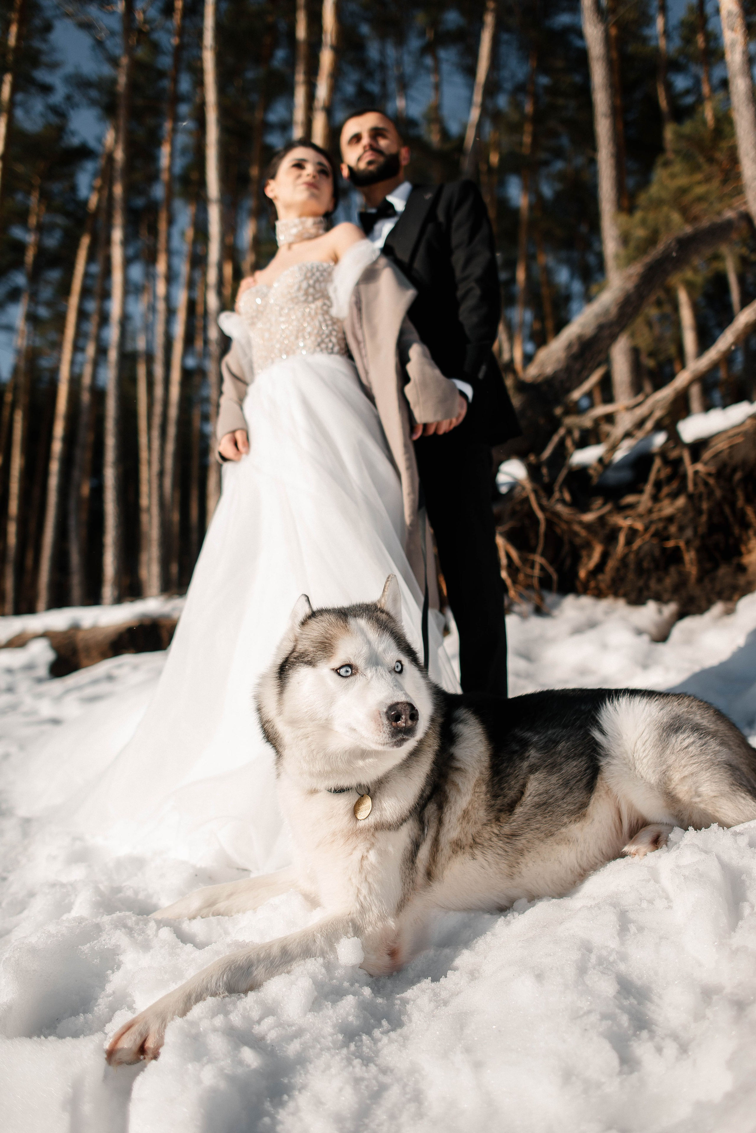 Вусал и Афсана. Свадебный фотограф Курск Артем Духтанов