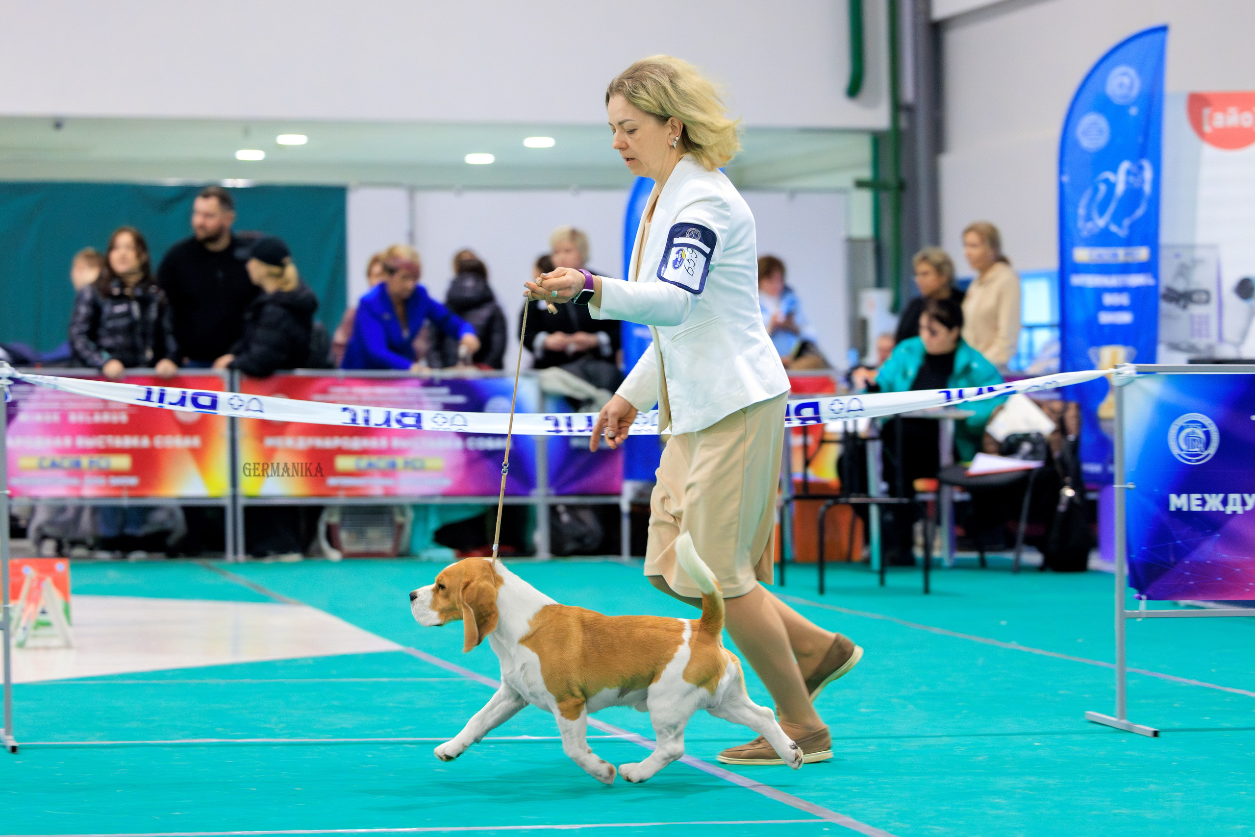 Минск 24-25.02.2024. Фотограф-анималист Юлия Германика