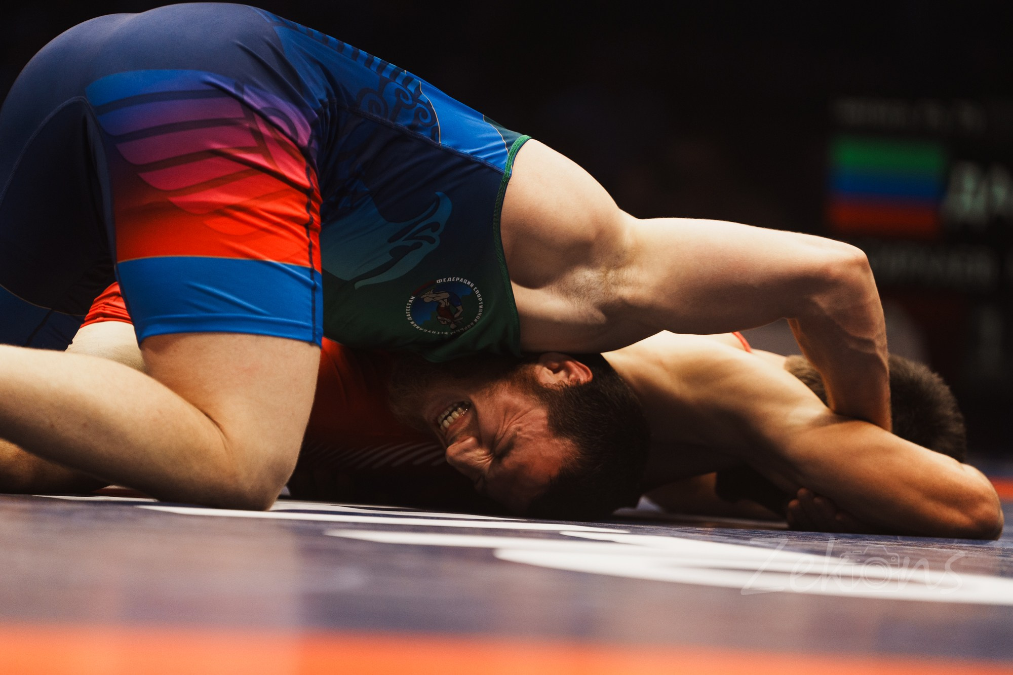 Чемпионат России по вольной борьбе 2025 (Москва). Zekons. Фото, видео, нейросети