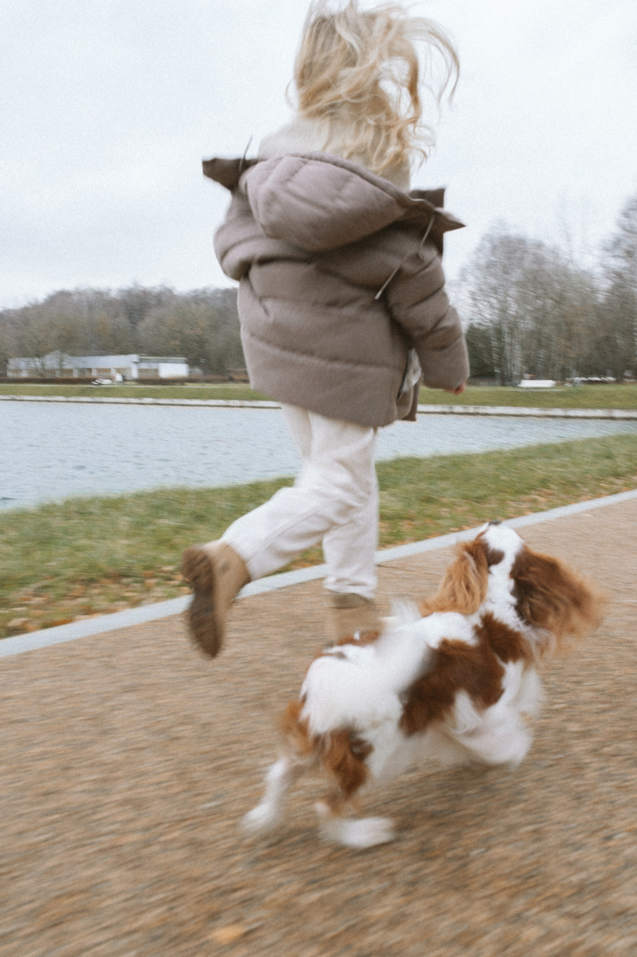 Настя и Тэйлор. Фотограф анималист в Москве Ольга Агушева