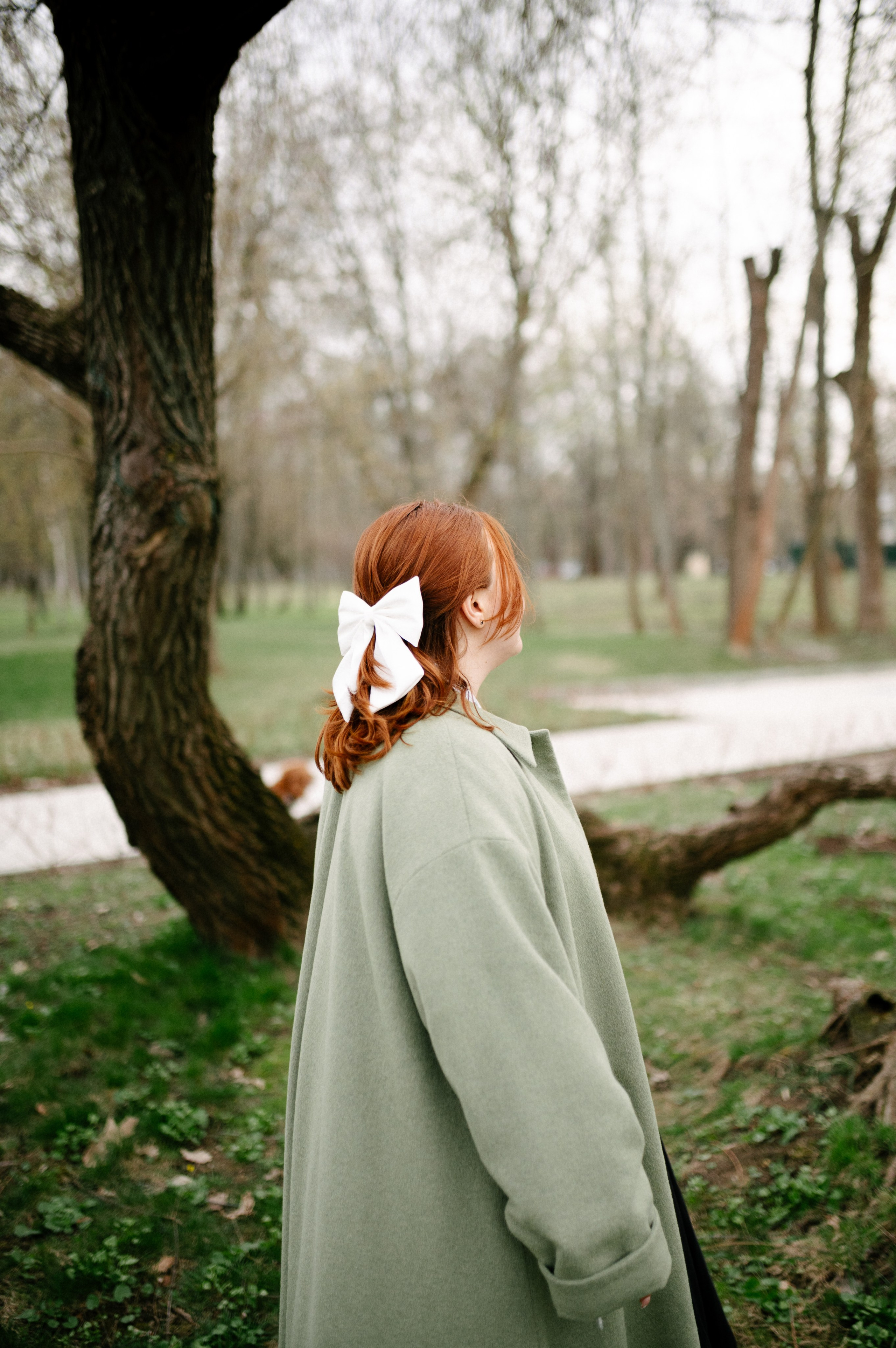 Рыжая команда. Фотограф анималист в Москве Ольга Агушева