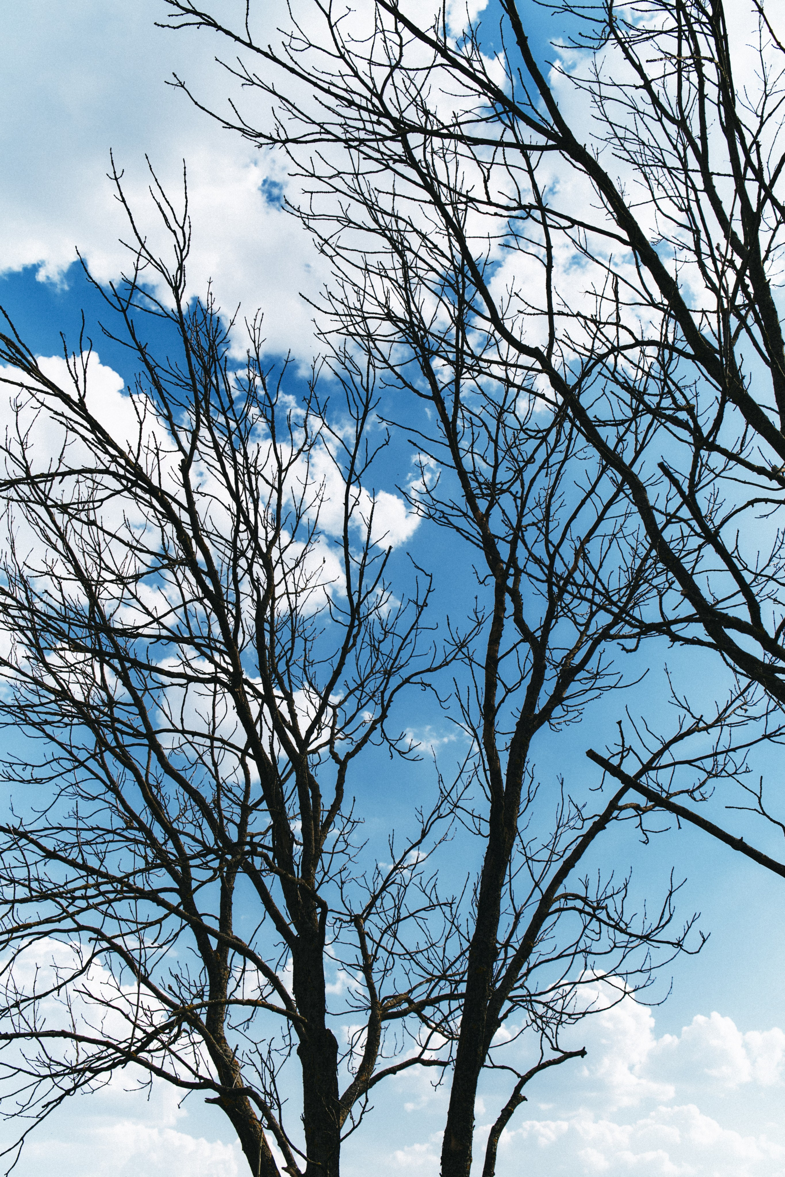 BAON x Кудыкина Гора. Фотограф Сурков Никита