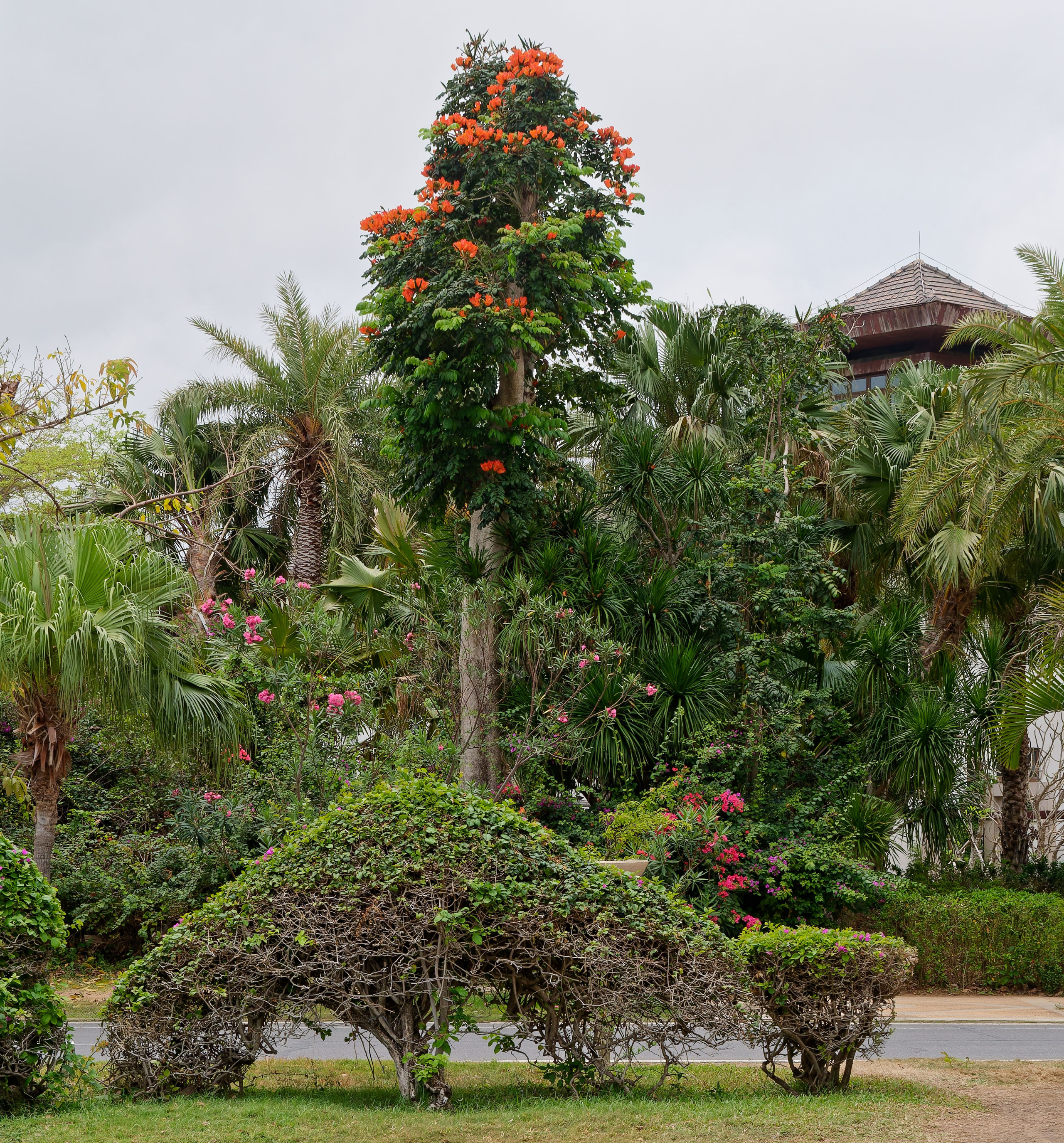 Хайнань 2026, улицы Ялунвань и Саньи. Фотопрогулки по Миру