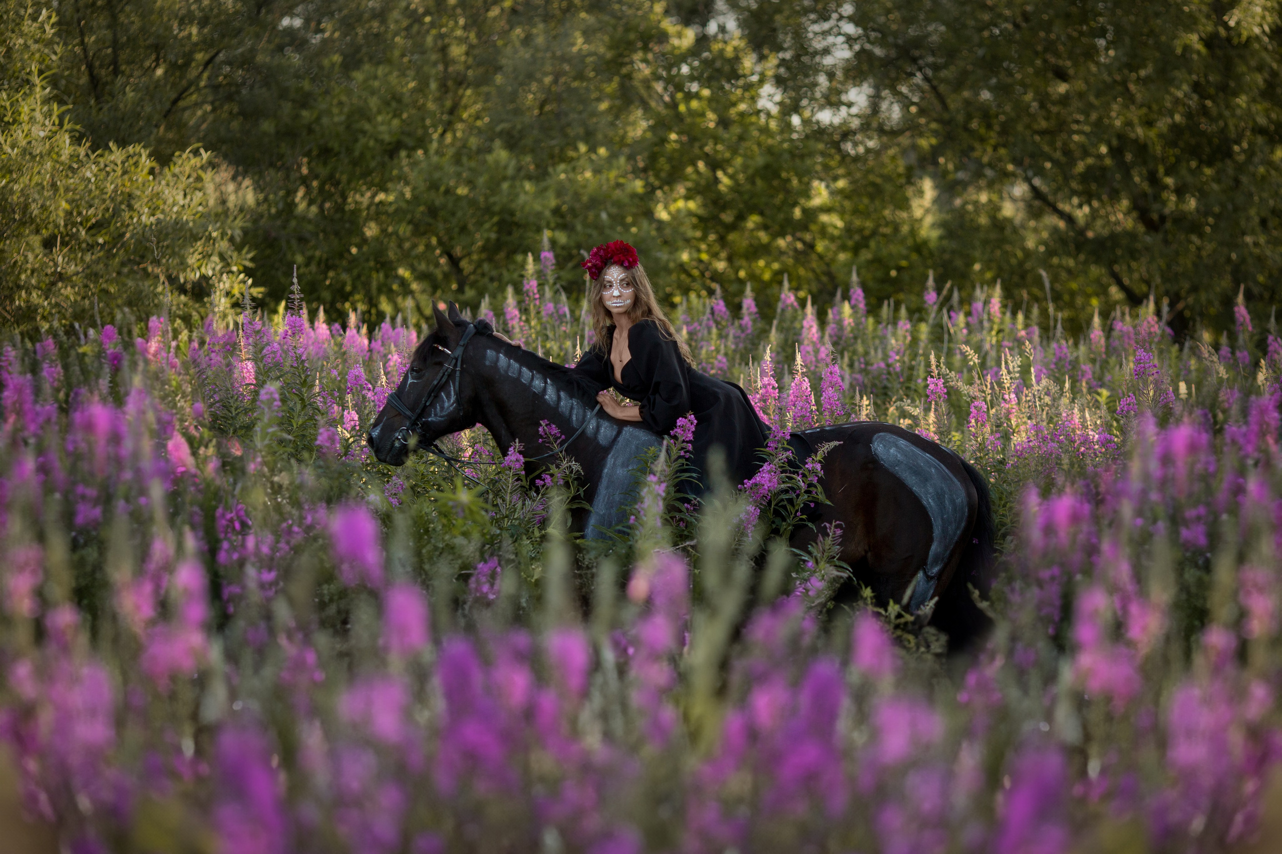 Фотосессия с стиле хэллоуин с лошадью