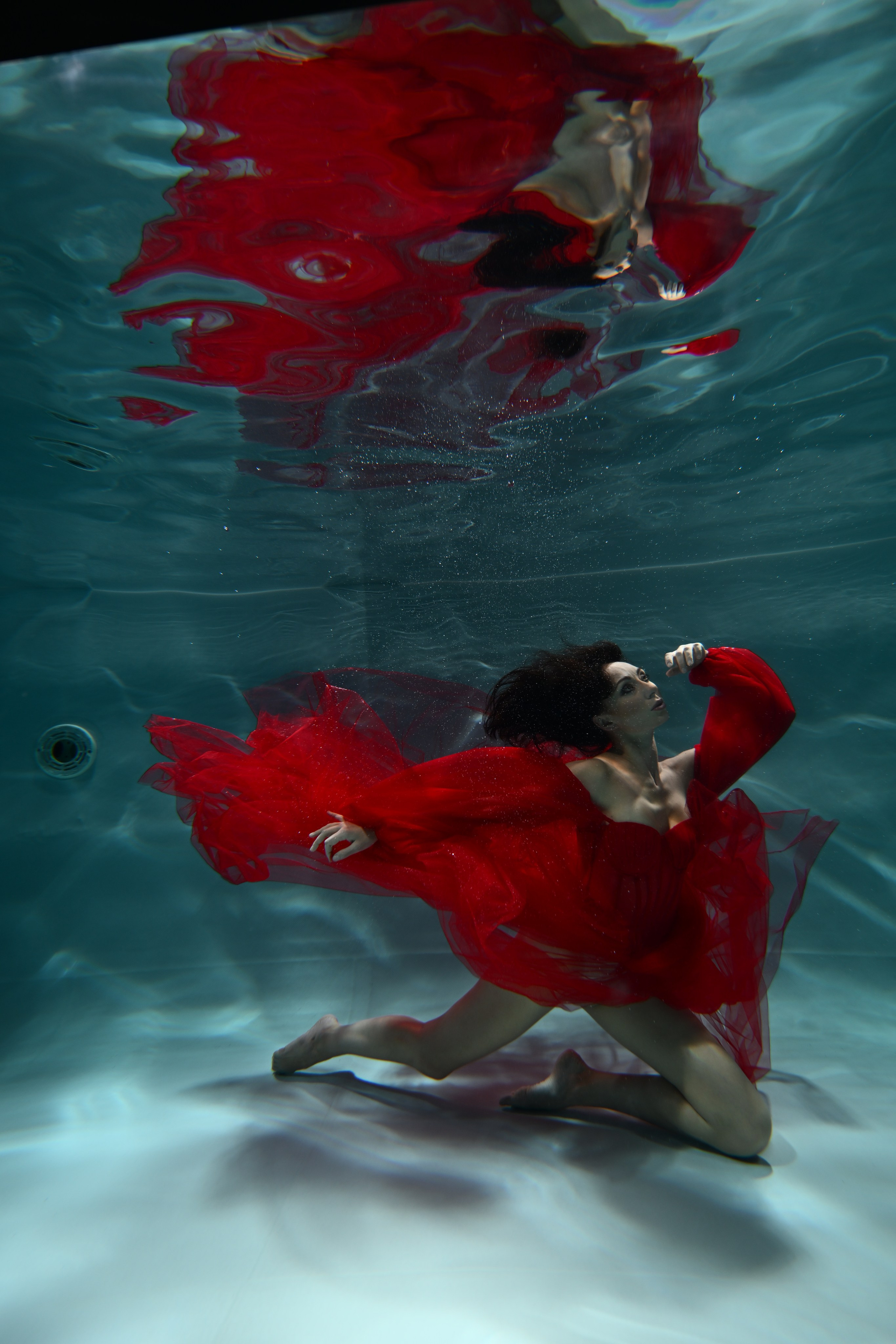 Аква студия НЕМО. Фотограф в Санкт-Петербурге Сафронов Николай