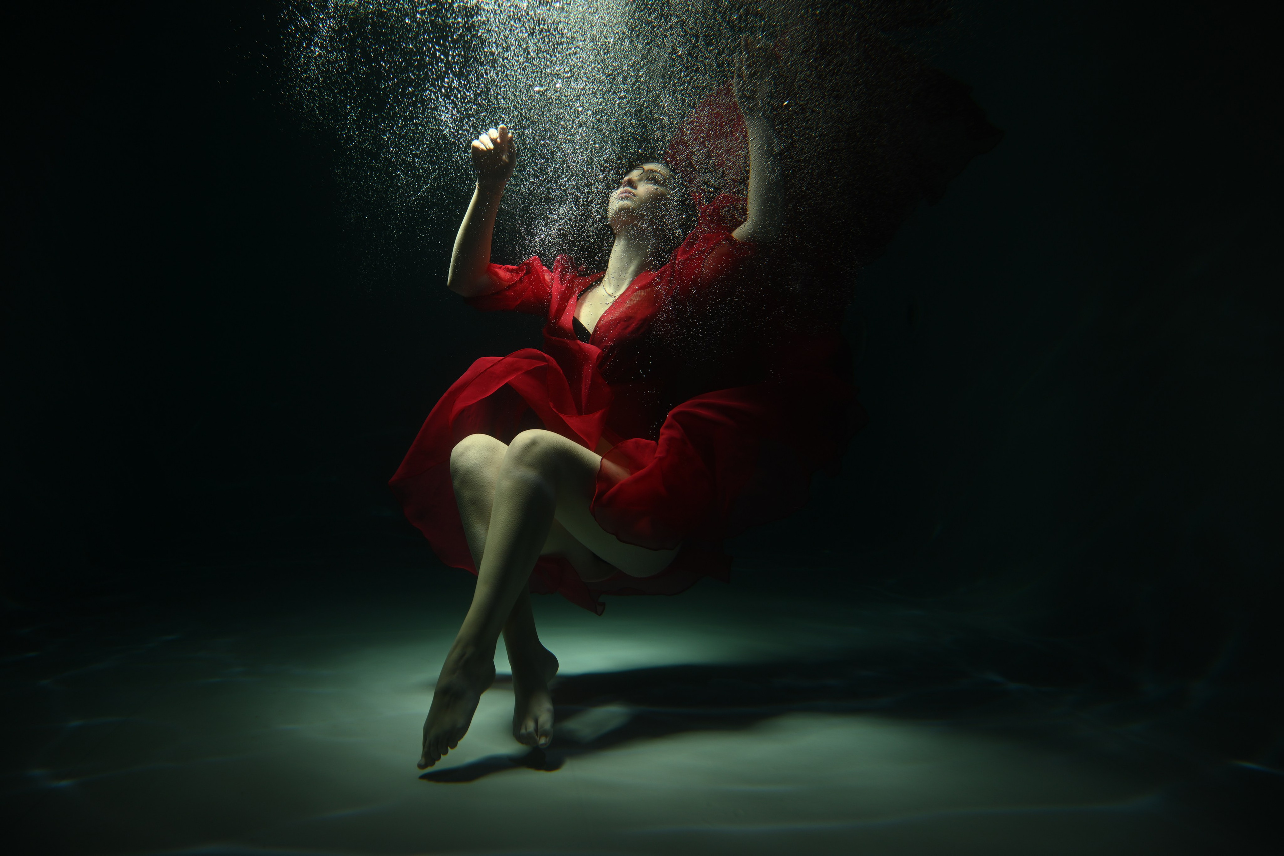 Аквариумные снимки. Фотограф в Санкт-Петербурге Сафронов Николай