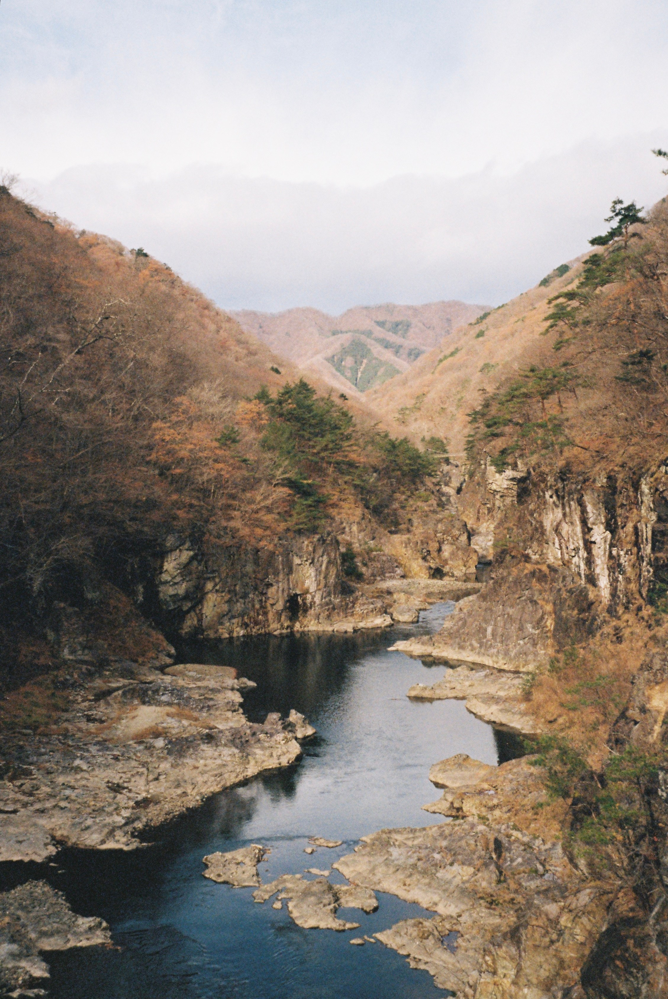 Пленка. Фотограф Алина Диева Москва | Токио