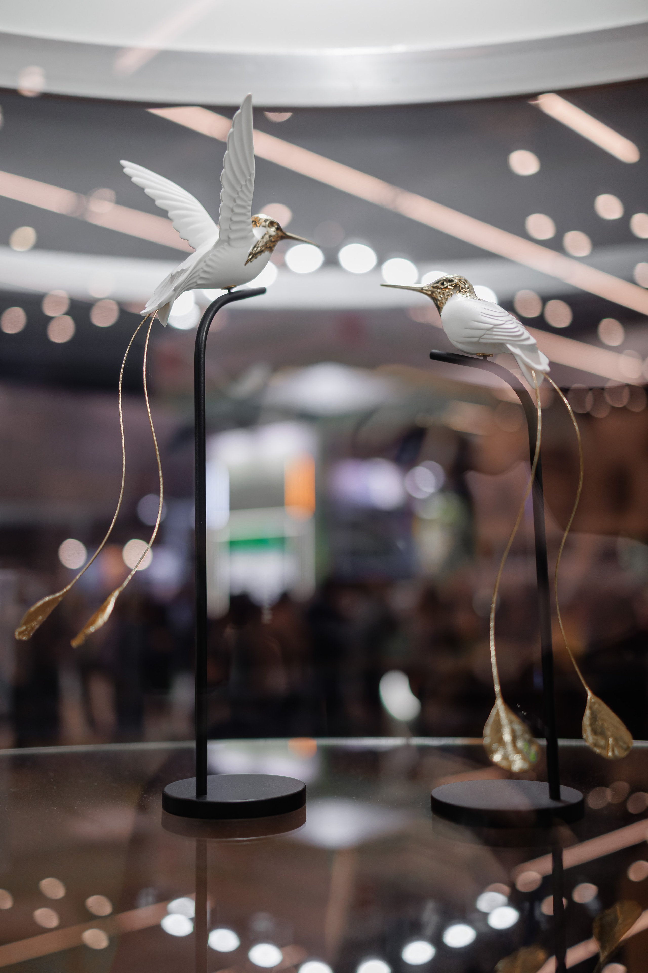 Клуб подарков. Экологический форум. Фотограф на мероприятие в Санкт-Петербурге