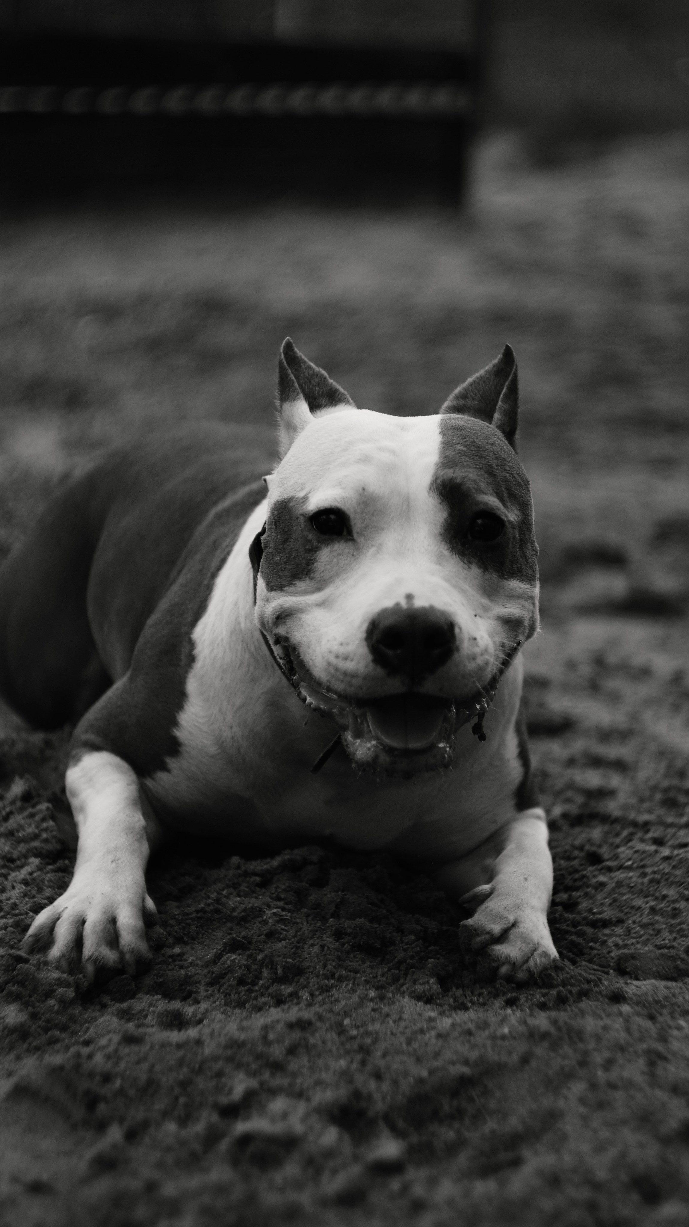 Луна. Профессиональный фотограф
