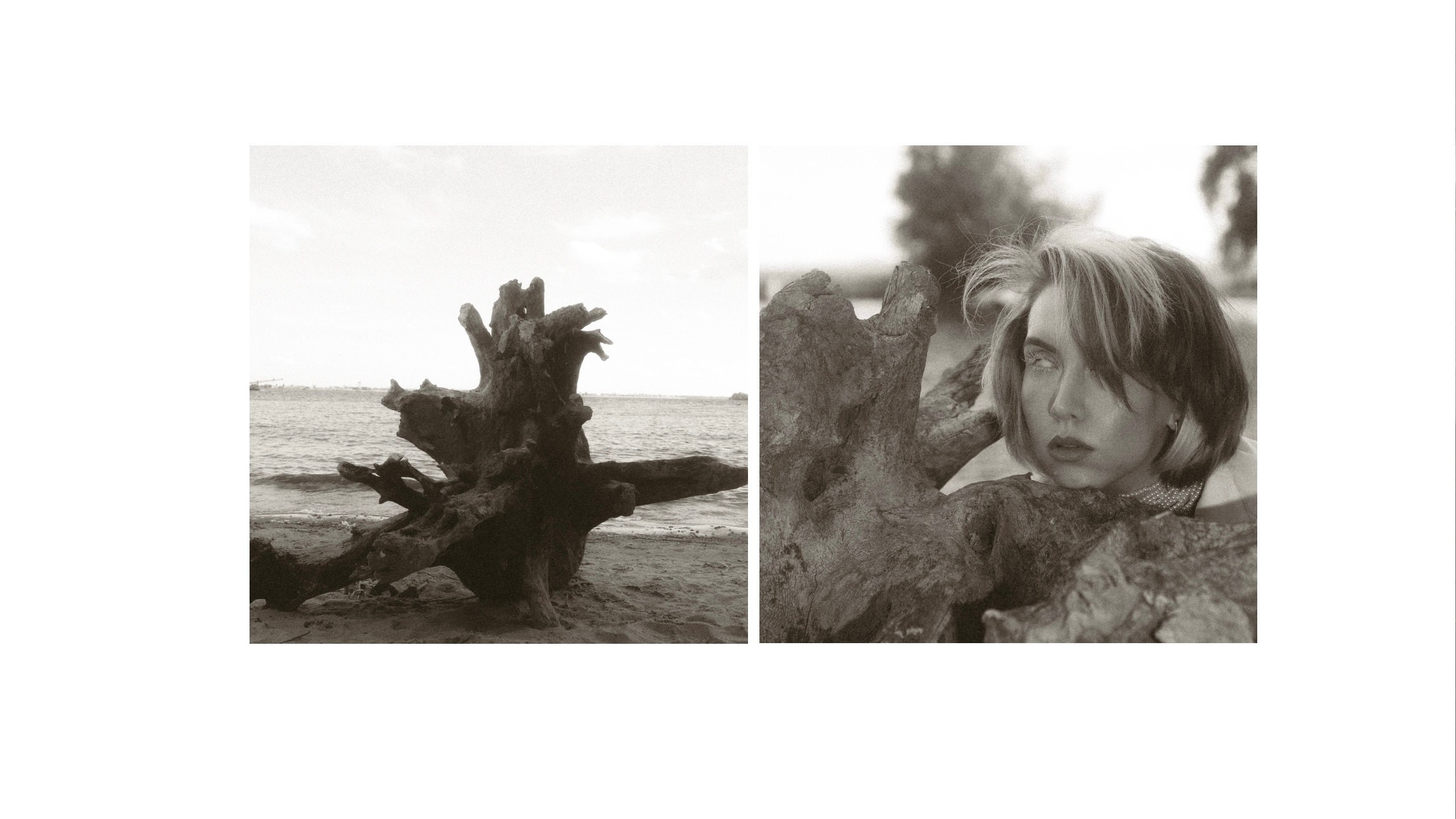 Скажи череп скольких овец. Сайт фотографа в Саратове