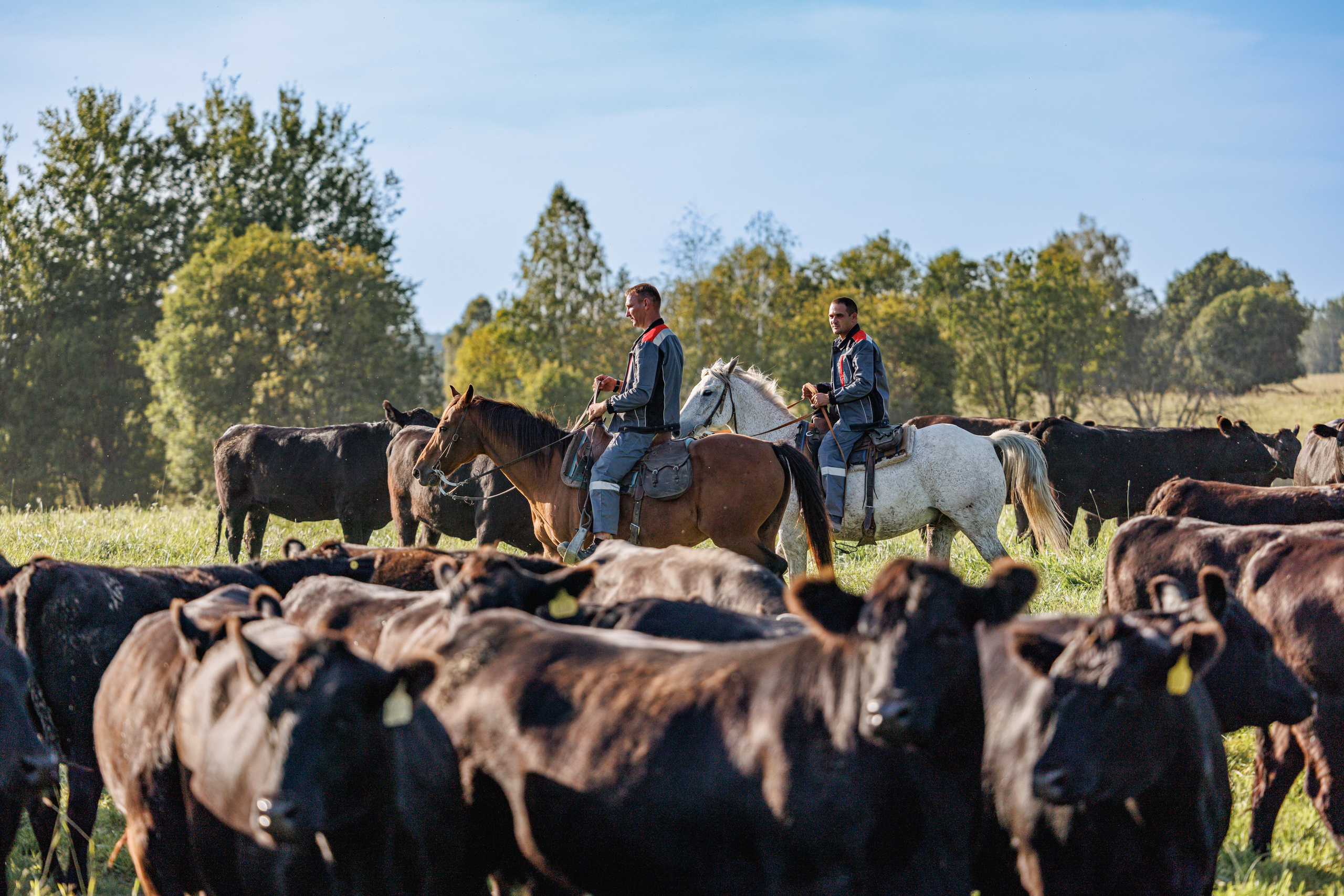 Репортажи с места событий. Репортажный фотограф
