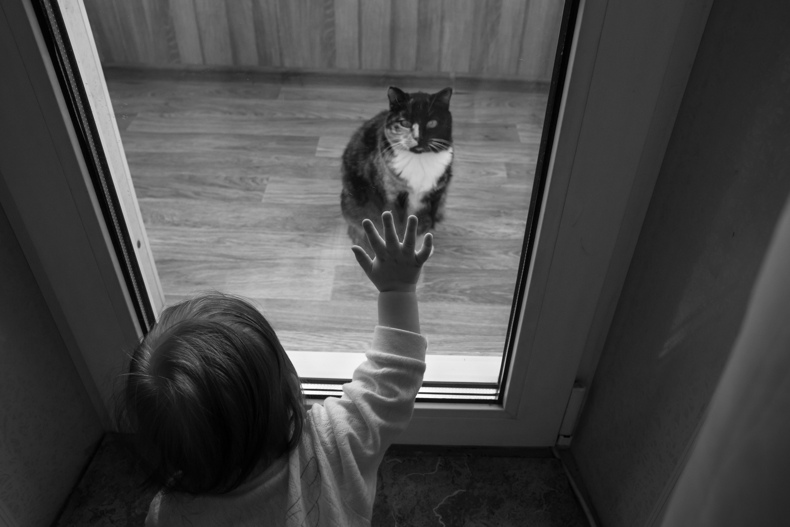 Семейные домашние фотосъемки. Семейный и детский фотограф Тамара Морозова г. Арсеньев