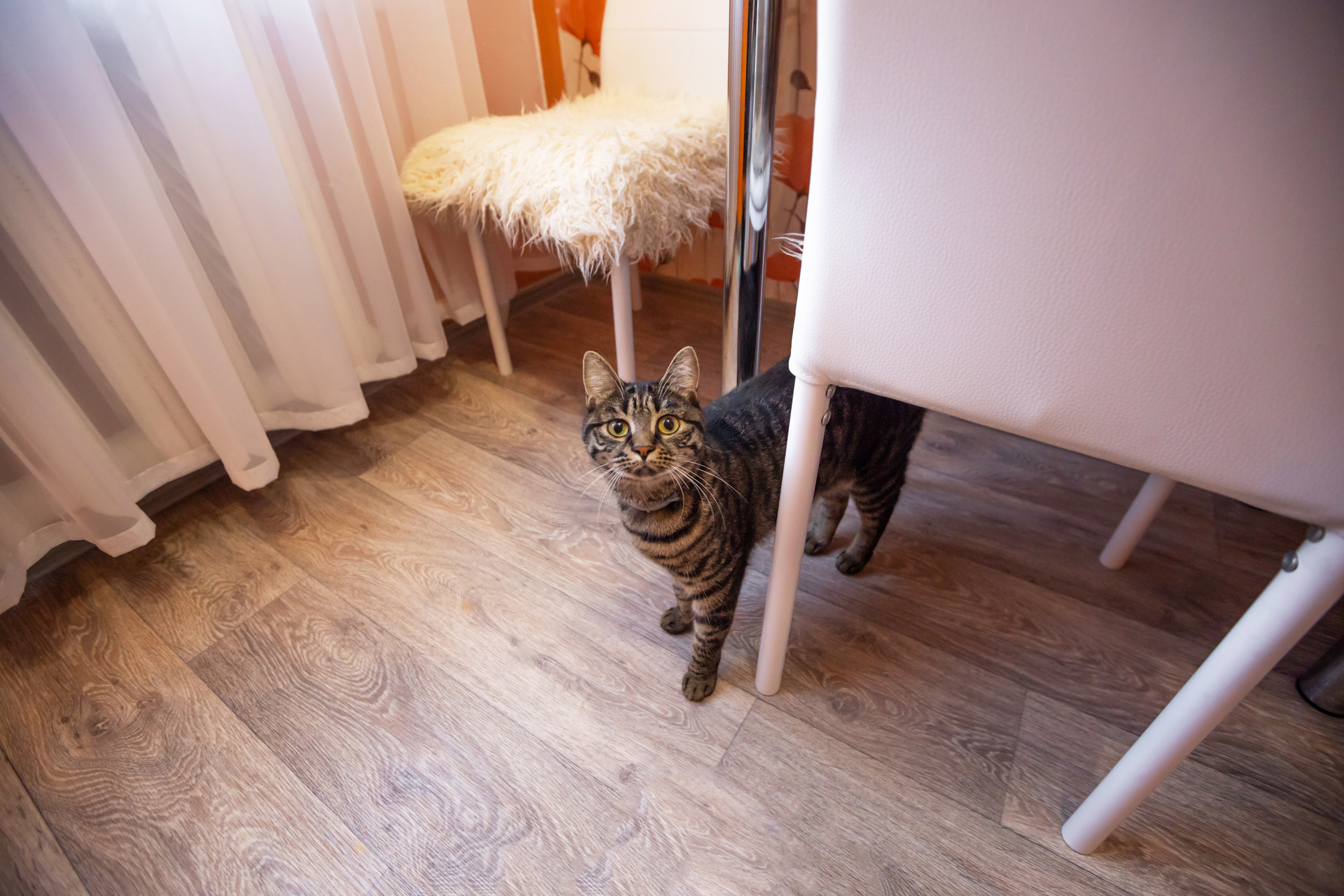 Домашняя атмосфера любви Лены и Даши. Семейный и детский фотограф Тамара Морозова г. Арсеньев